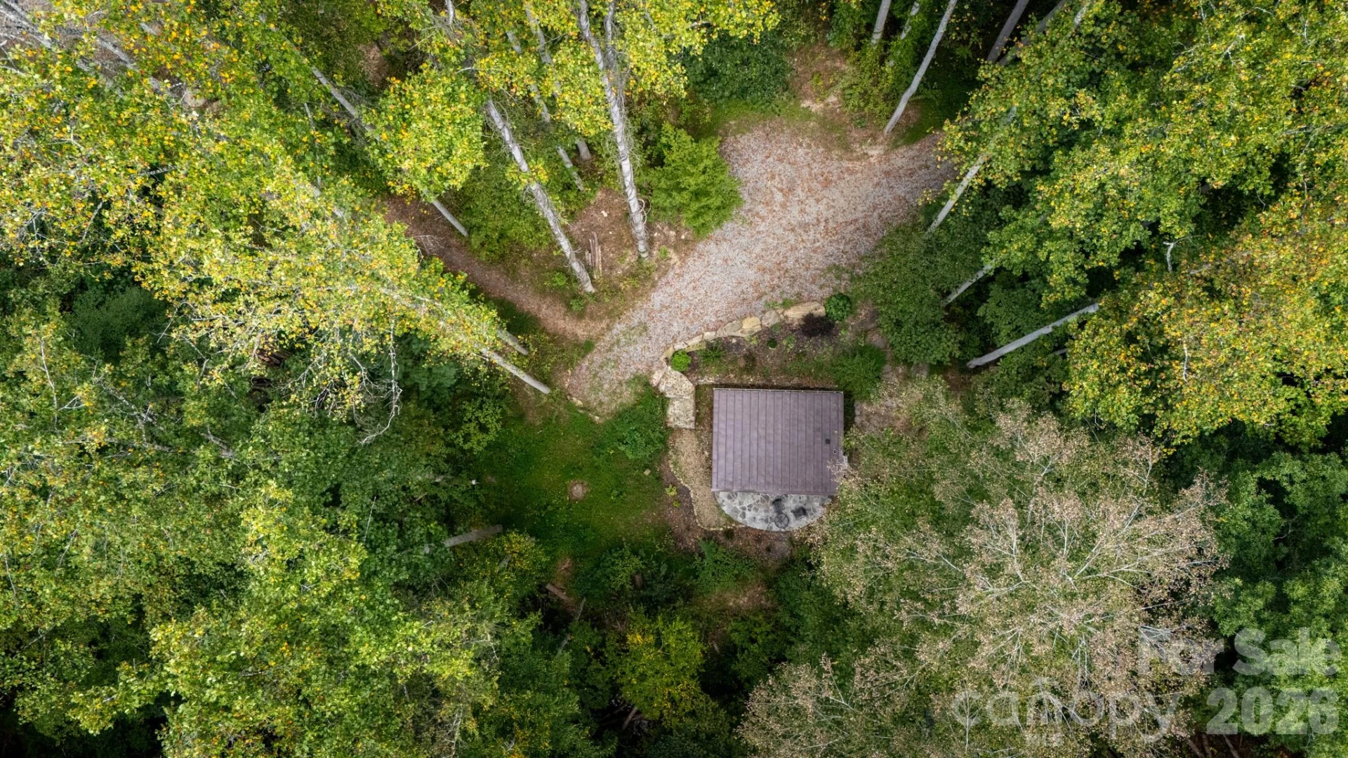 44 Azura None - Photo 11