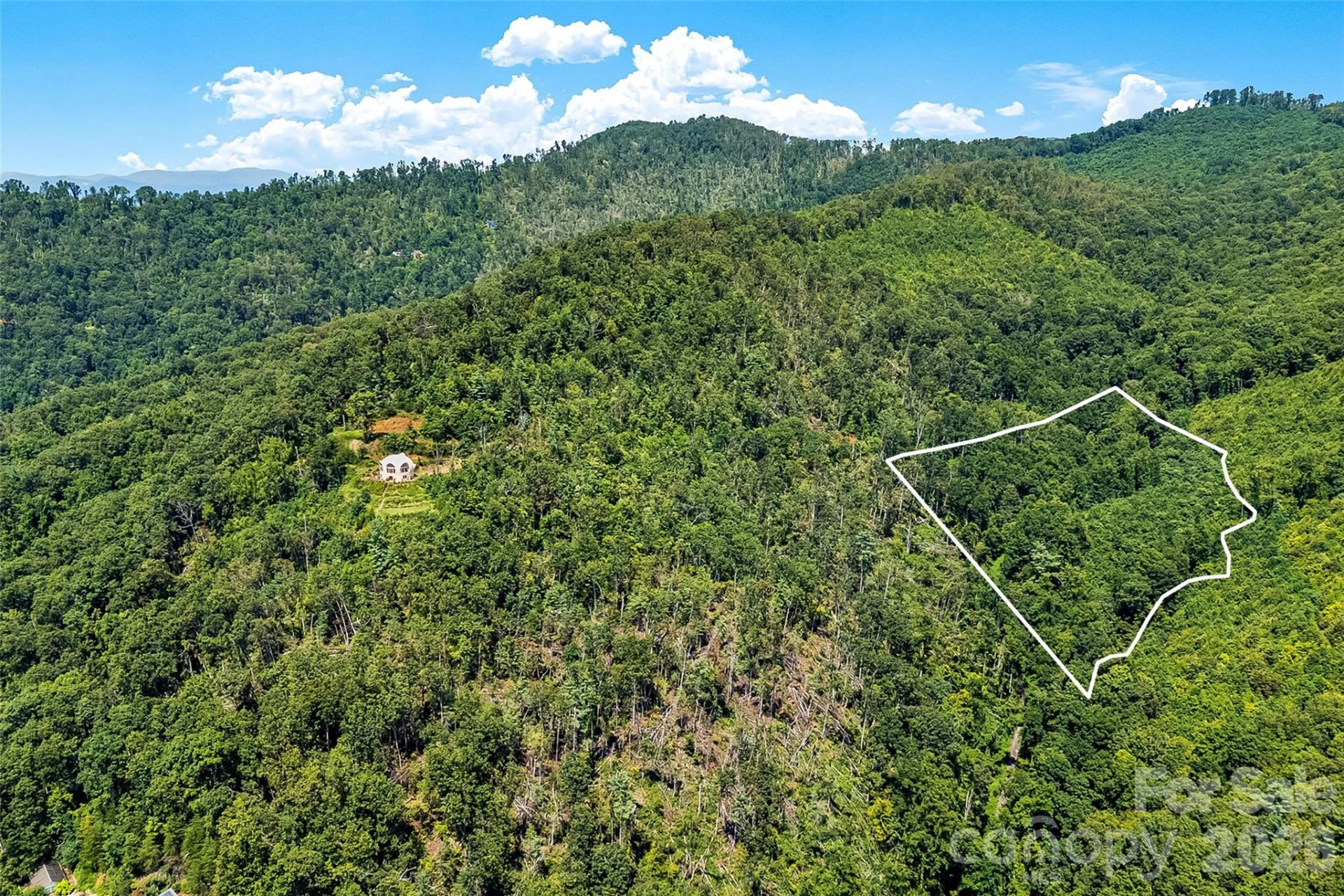 44 Azura None - Photo 14