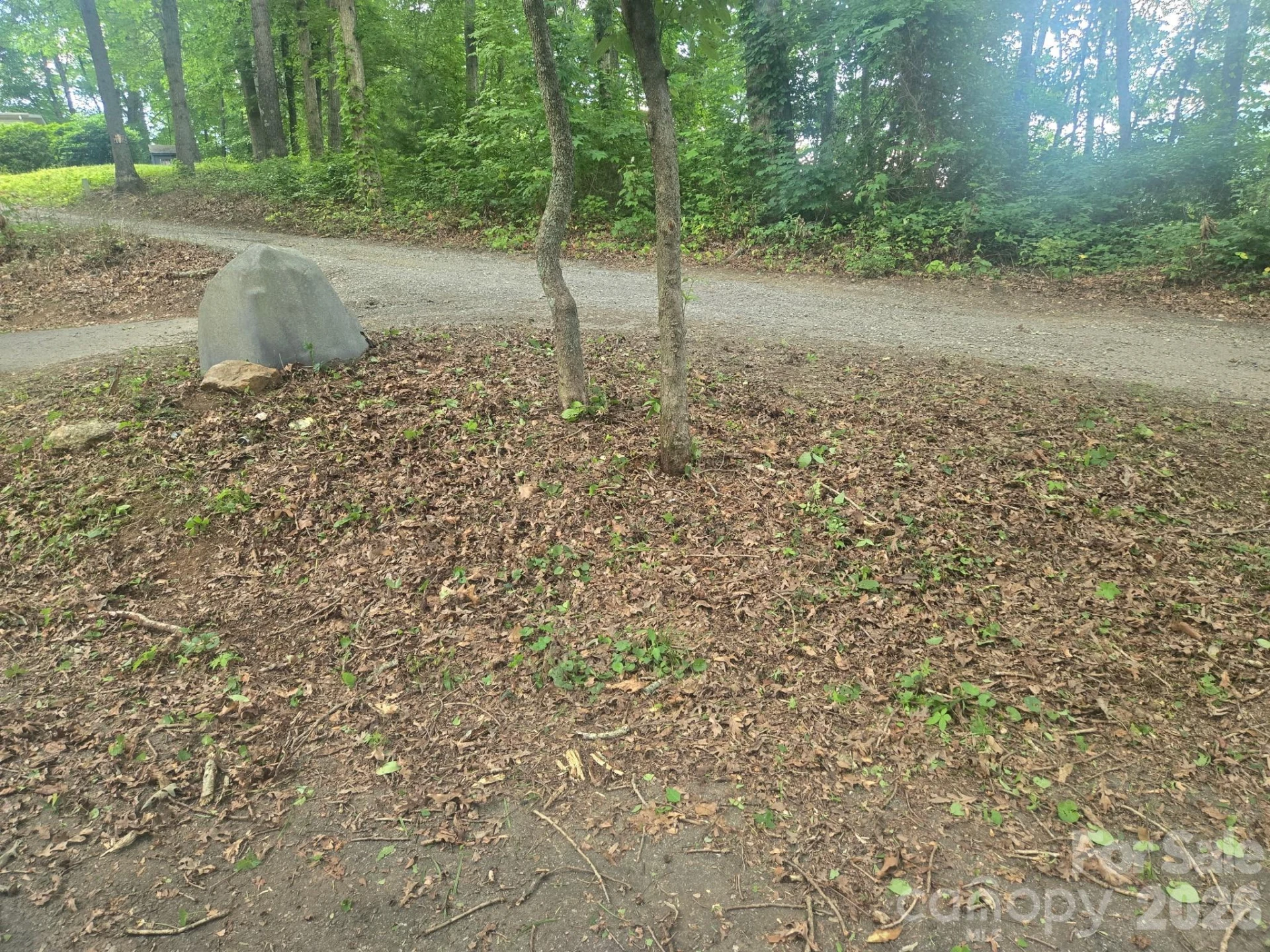 67 Mistletoe Ridge - Photo 7