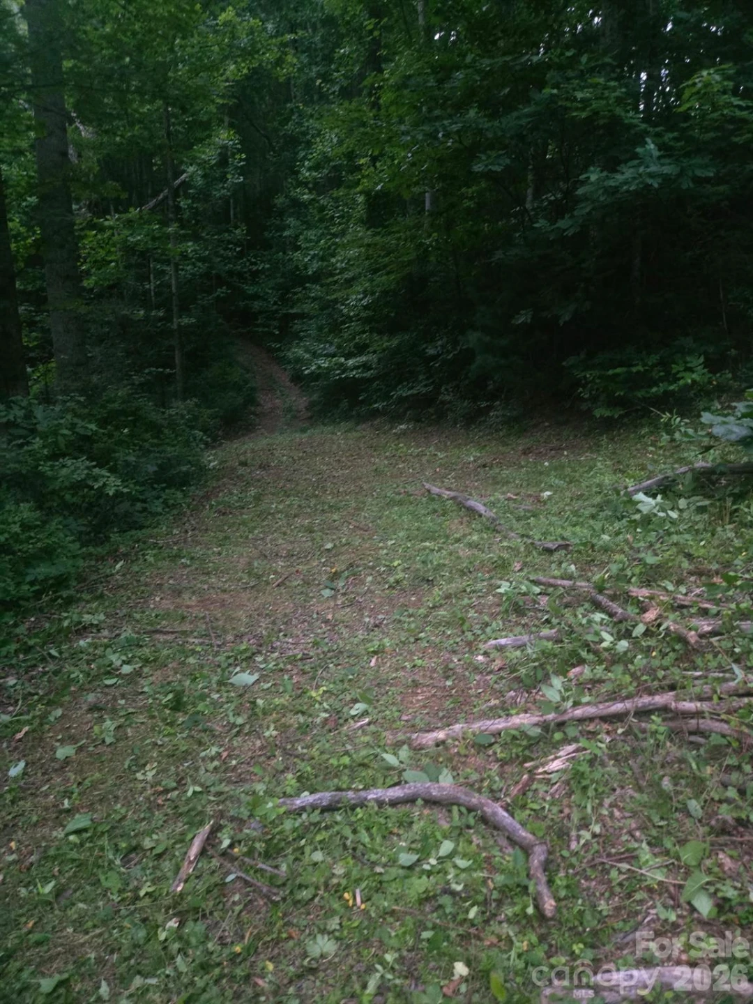 67 Mistletoe Ridge - Photo 13