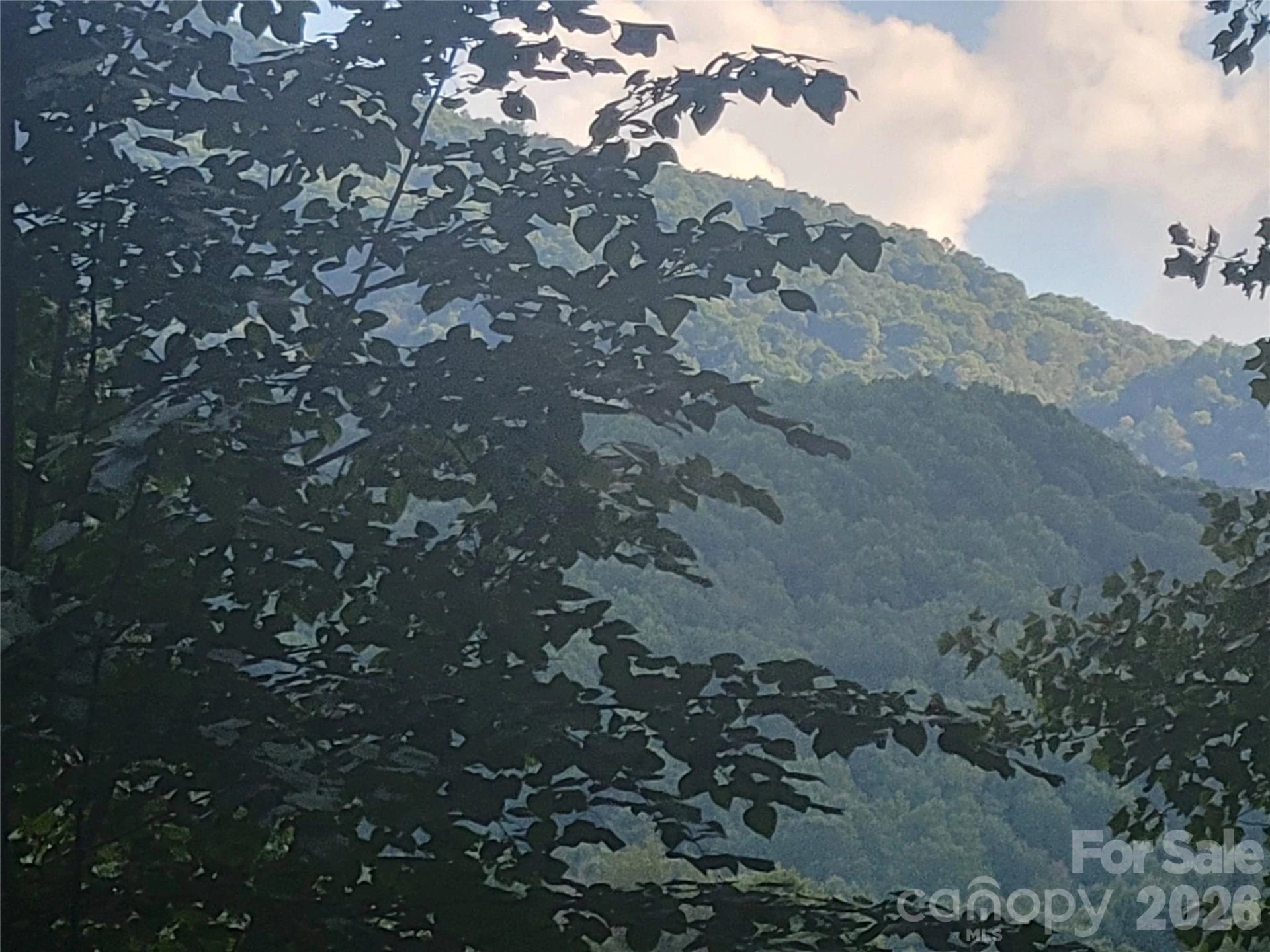 67 Mistletoe Ridge - Photo 18
