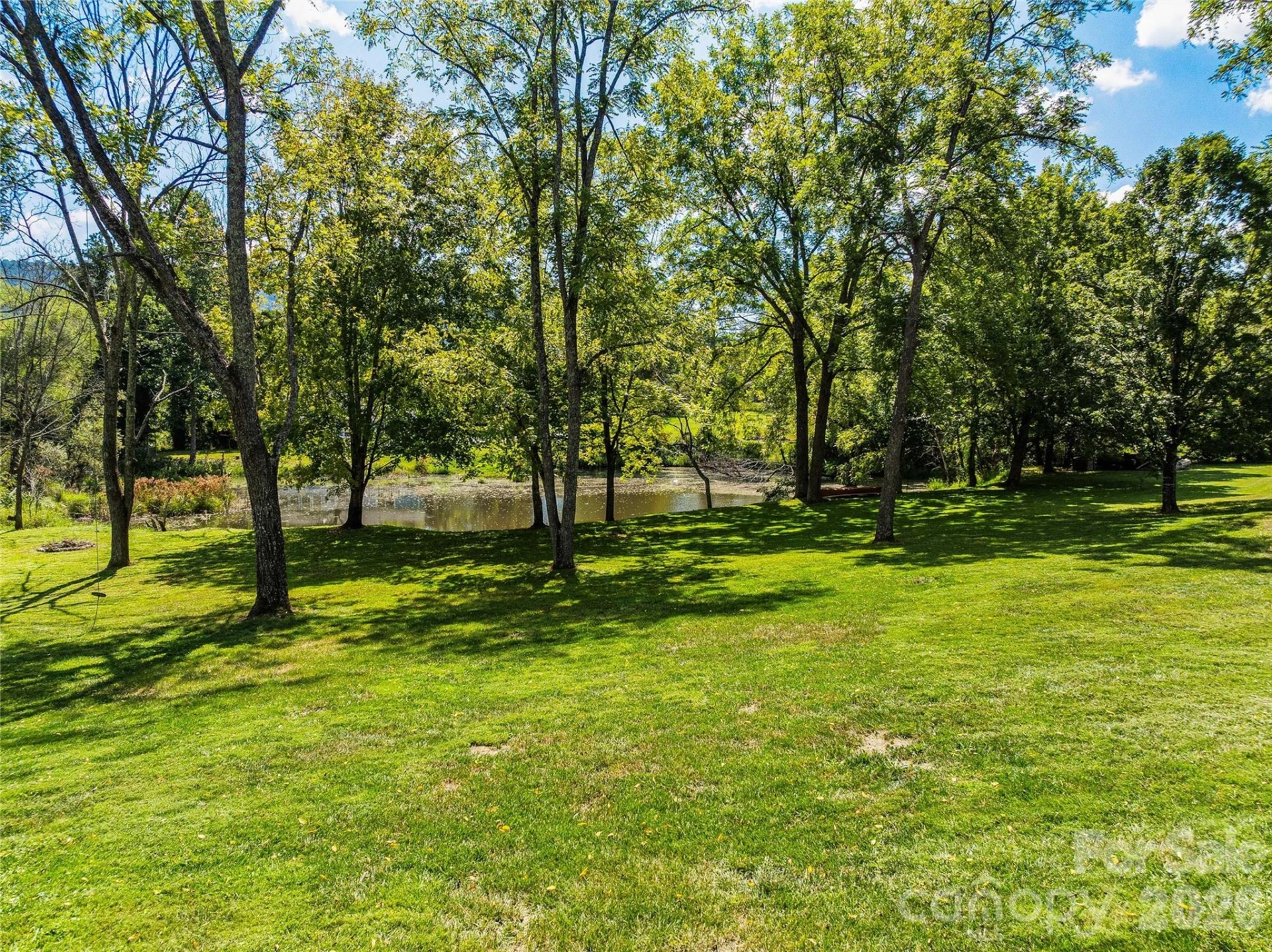 235 White Pine Drive - Photo 41