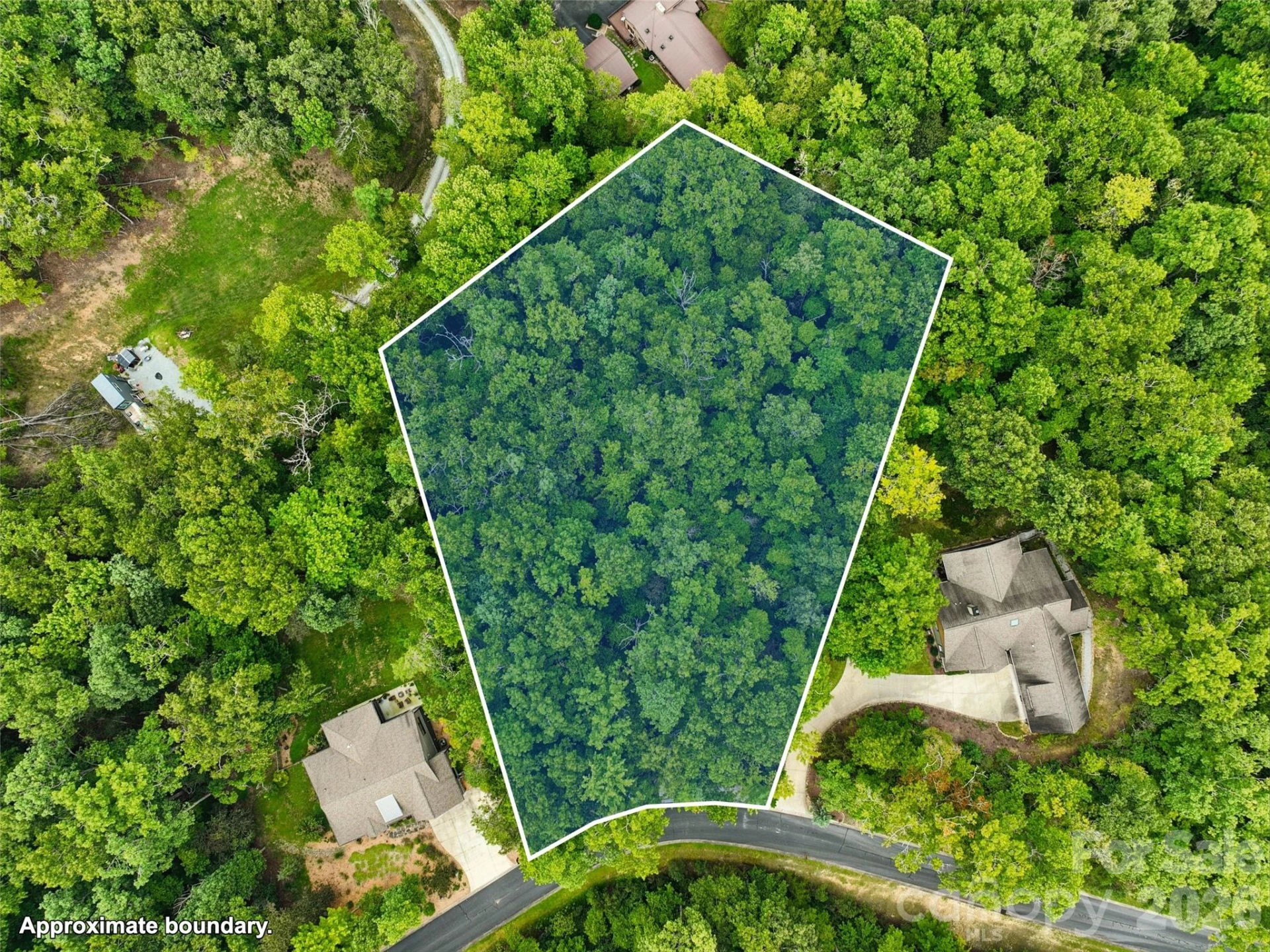230 Shining Rock Path #64