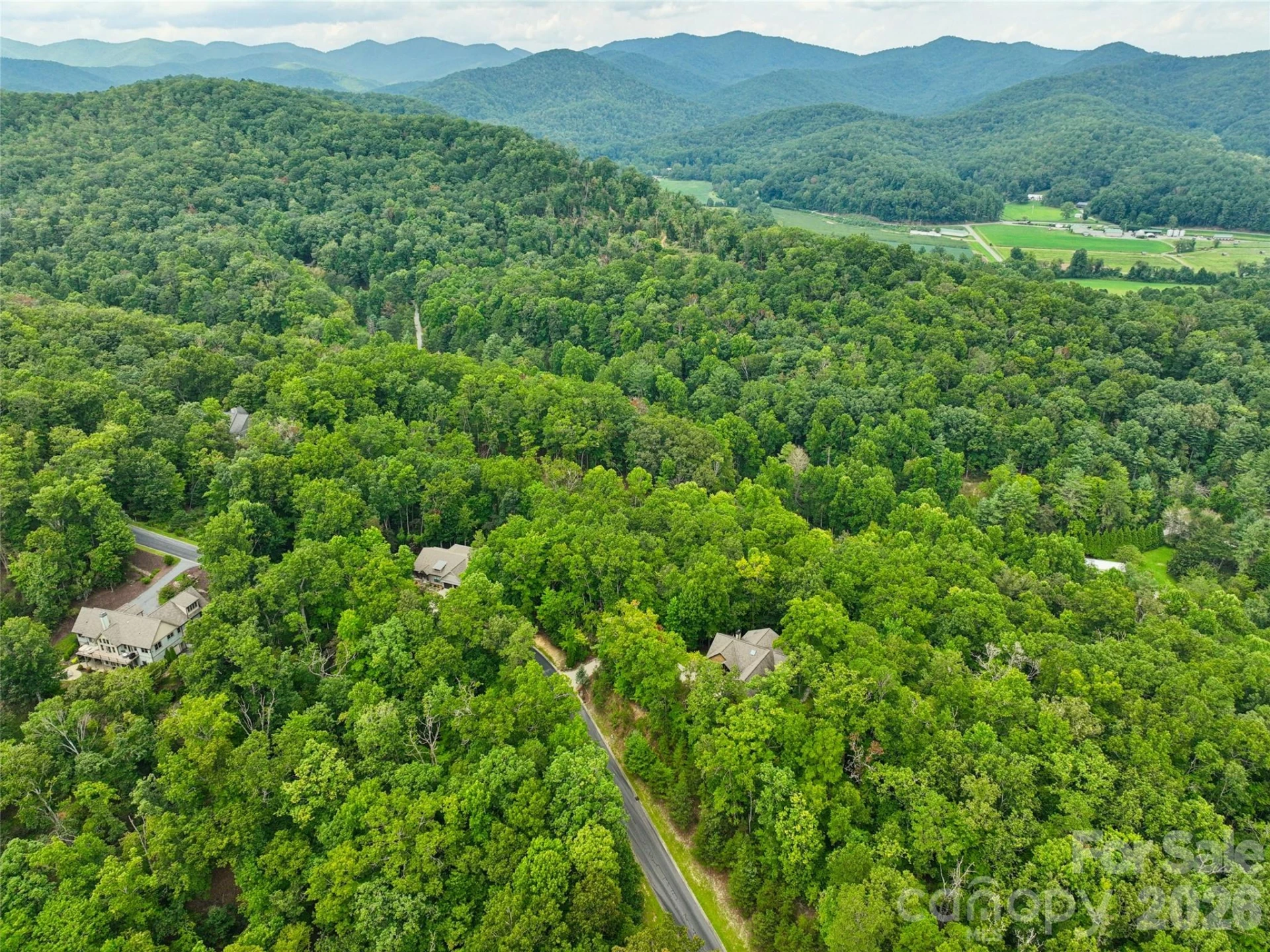 230 Shining Rock Path #64 - Photo 3