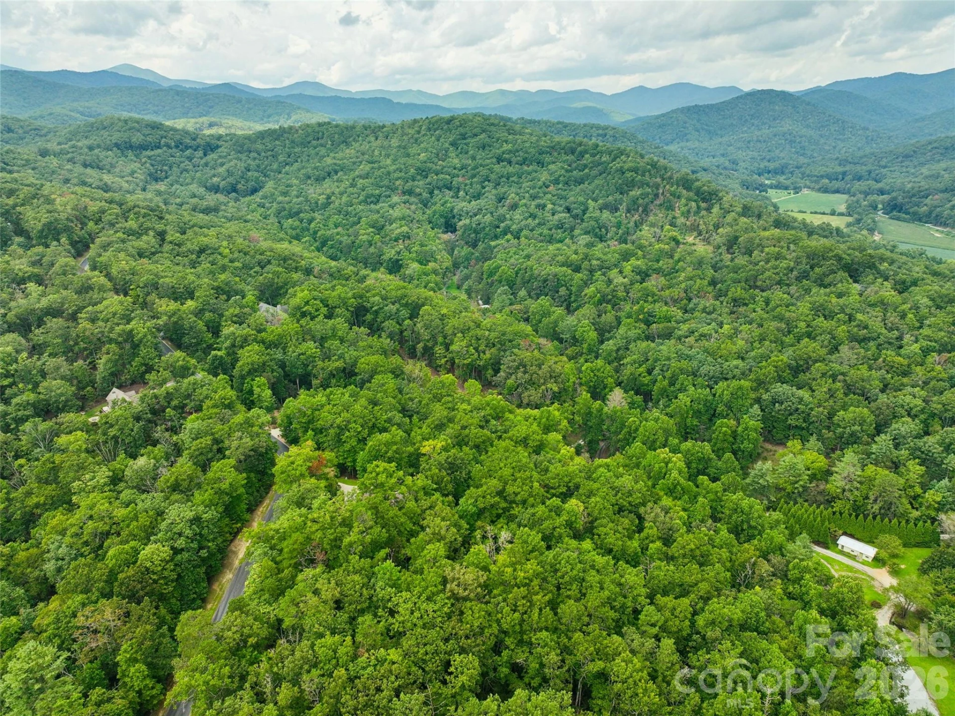 230 Shining Rock Path #64 - Photo 4