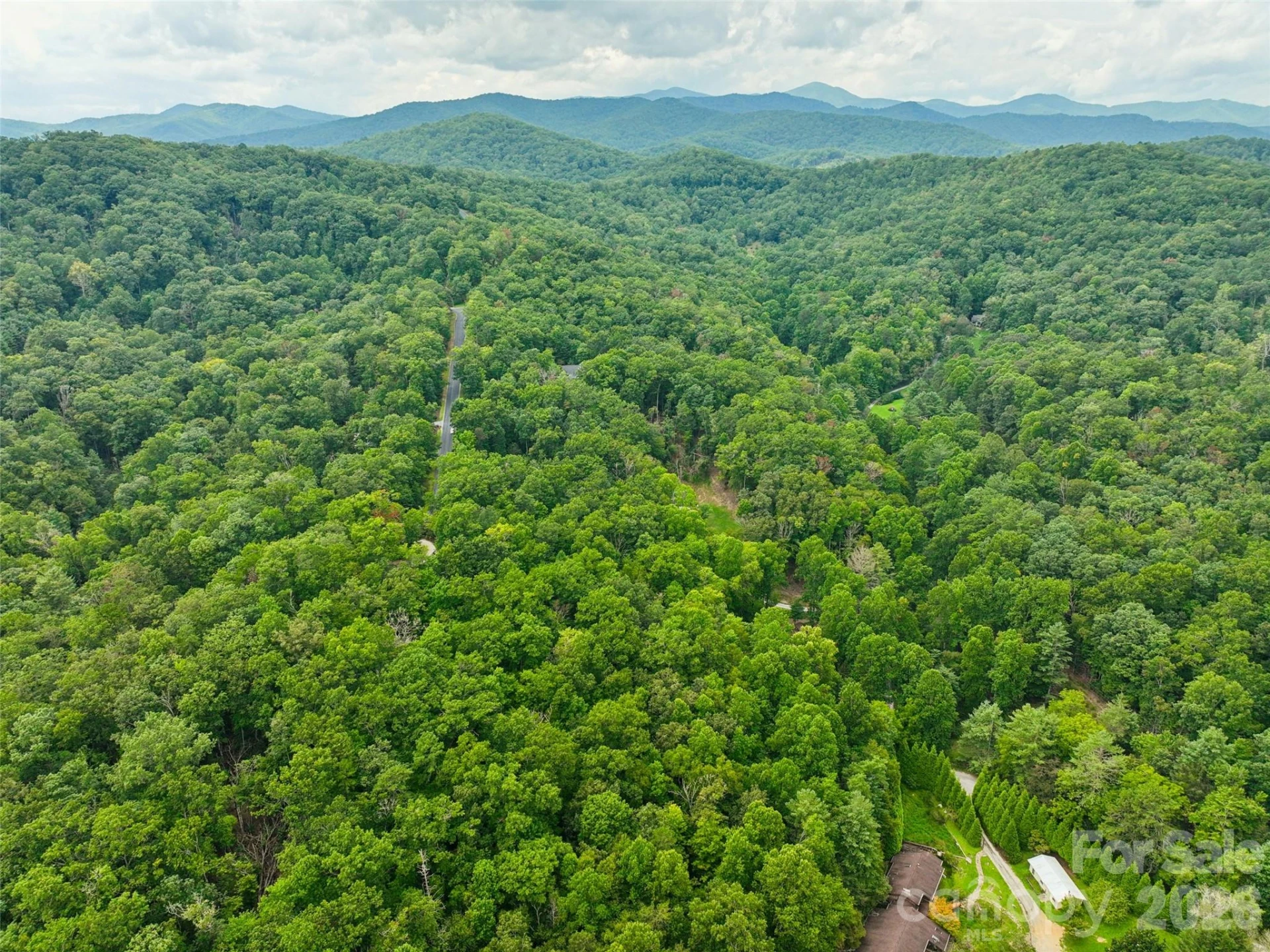 230 Shining Rock Path #64 - Photo 6