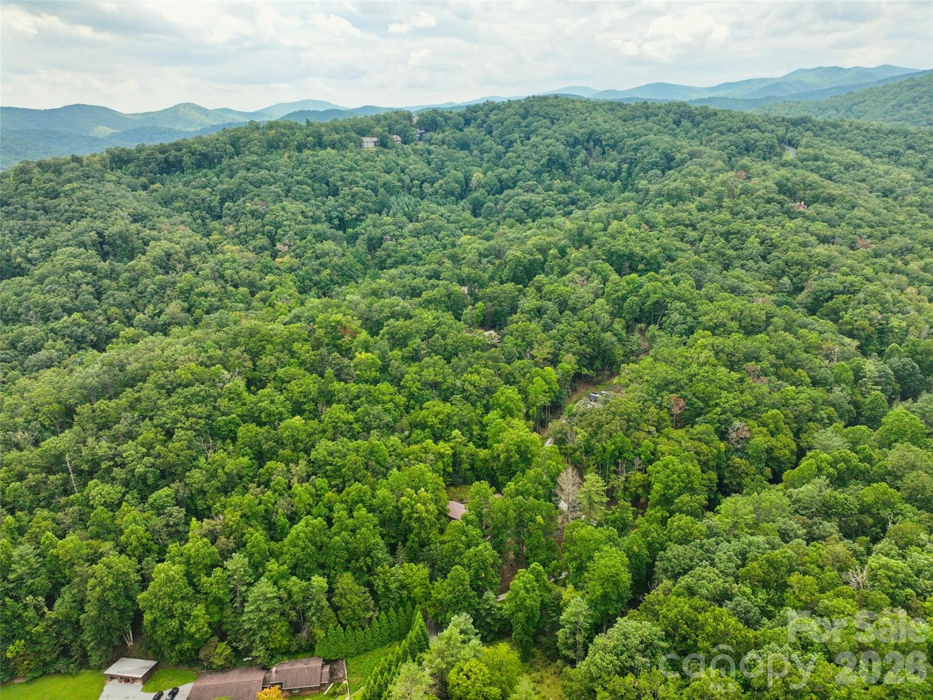 230 Shining Rock Path #64 - Photo 7