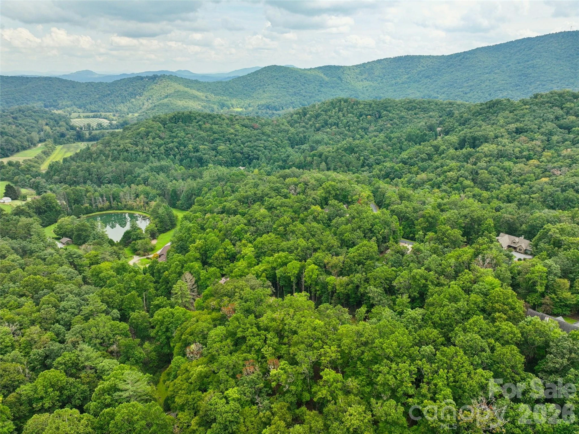 230 Shining Rock Path #64 - Photo 9