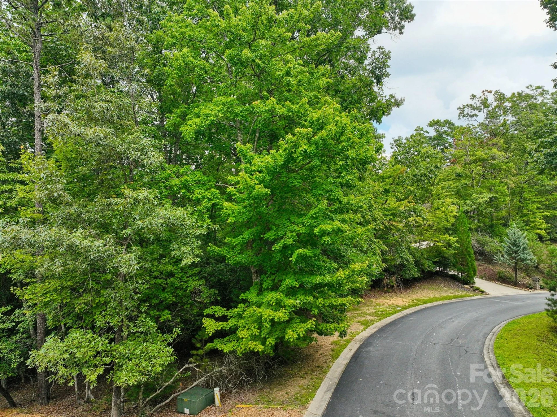 230 Shining Rock Path #64 - Photo 12