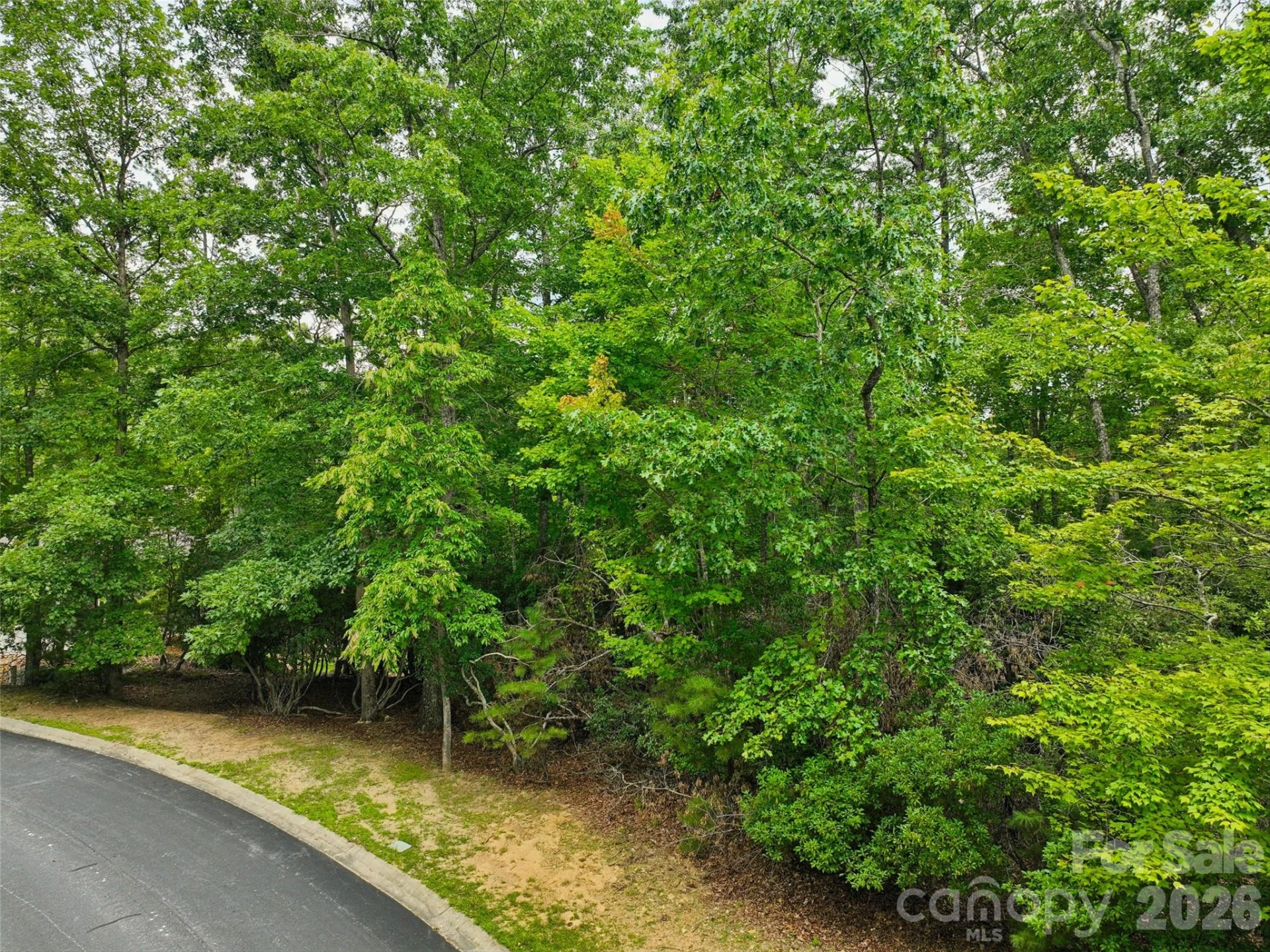 230 Shining Rock Path #64 - Photo 13