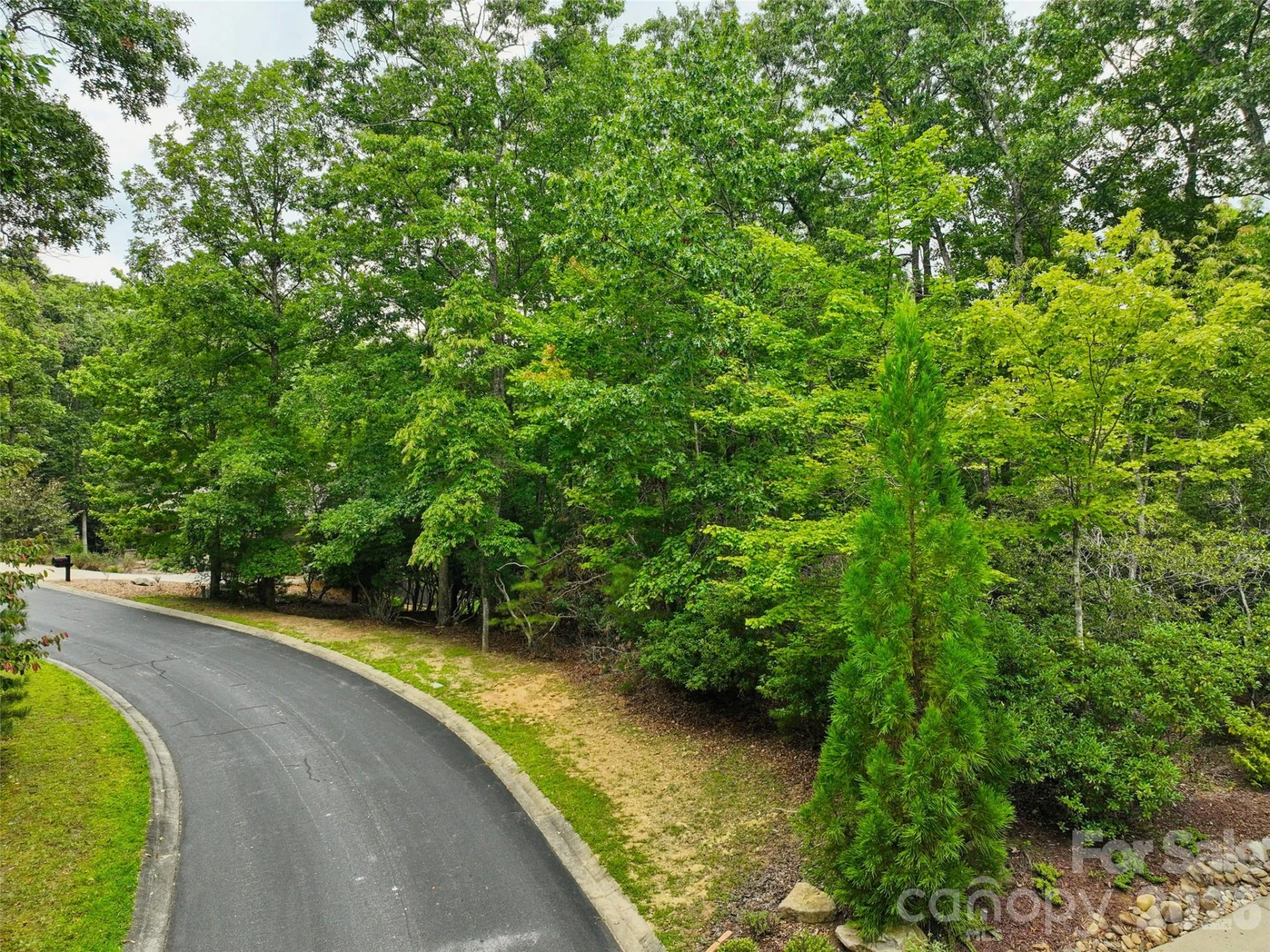 230 Shining Rock Path #64 - Photo 14