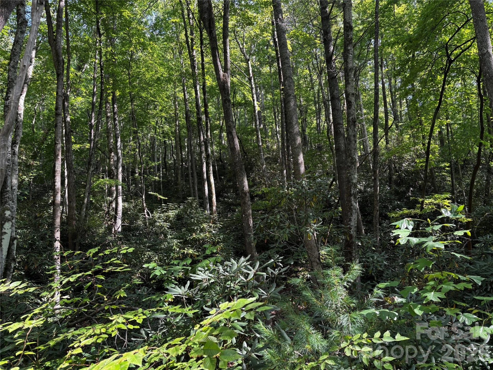 00 Burnette Reeves Road - Photo 2