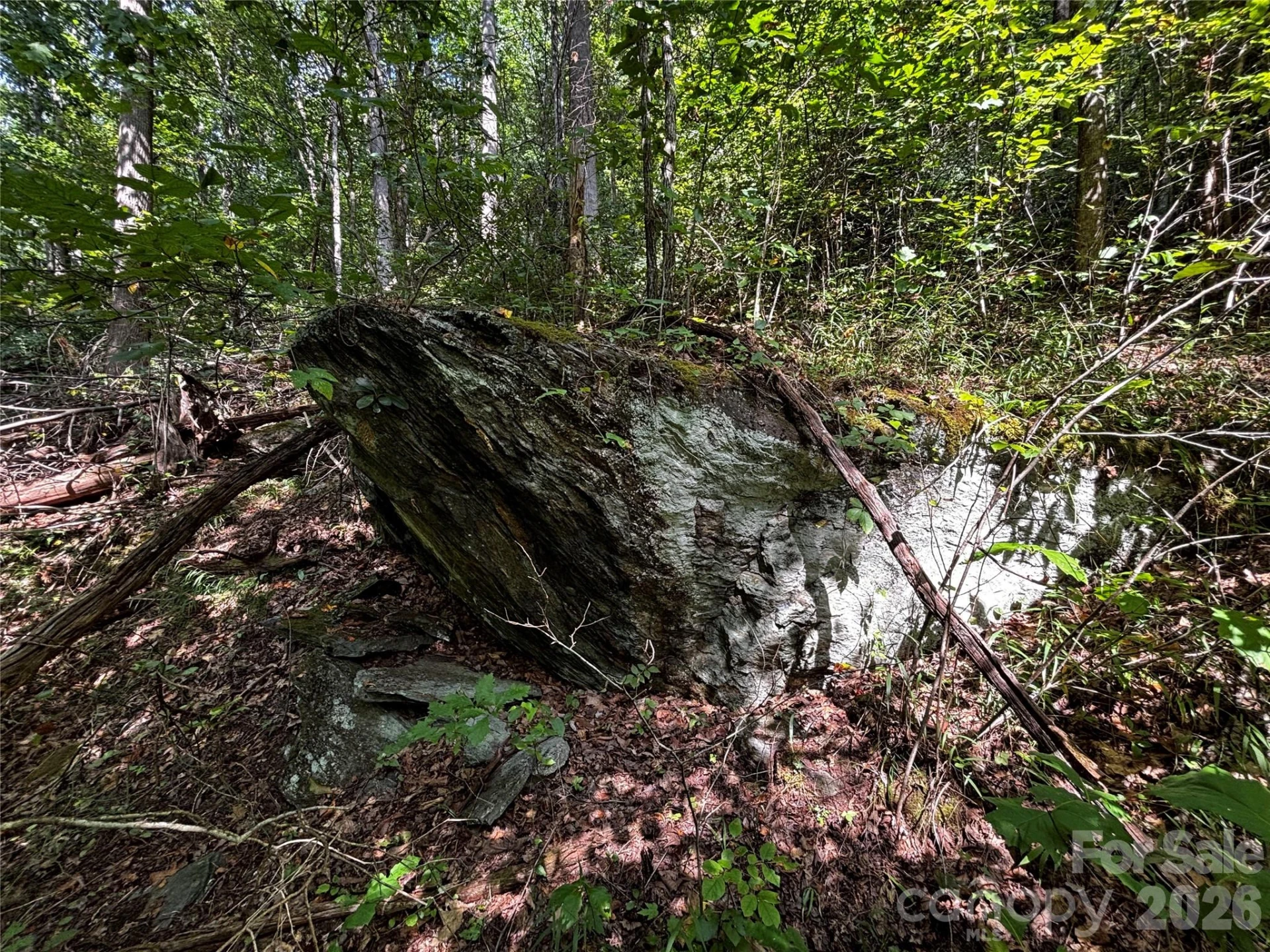 00 Burnette Reeves Road - Photo 3
