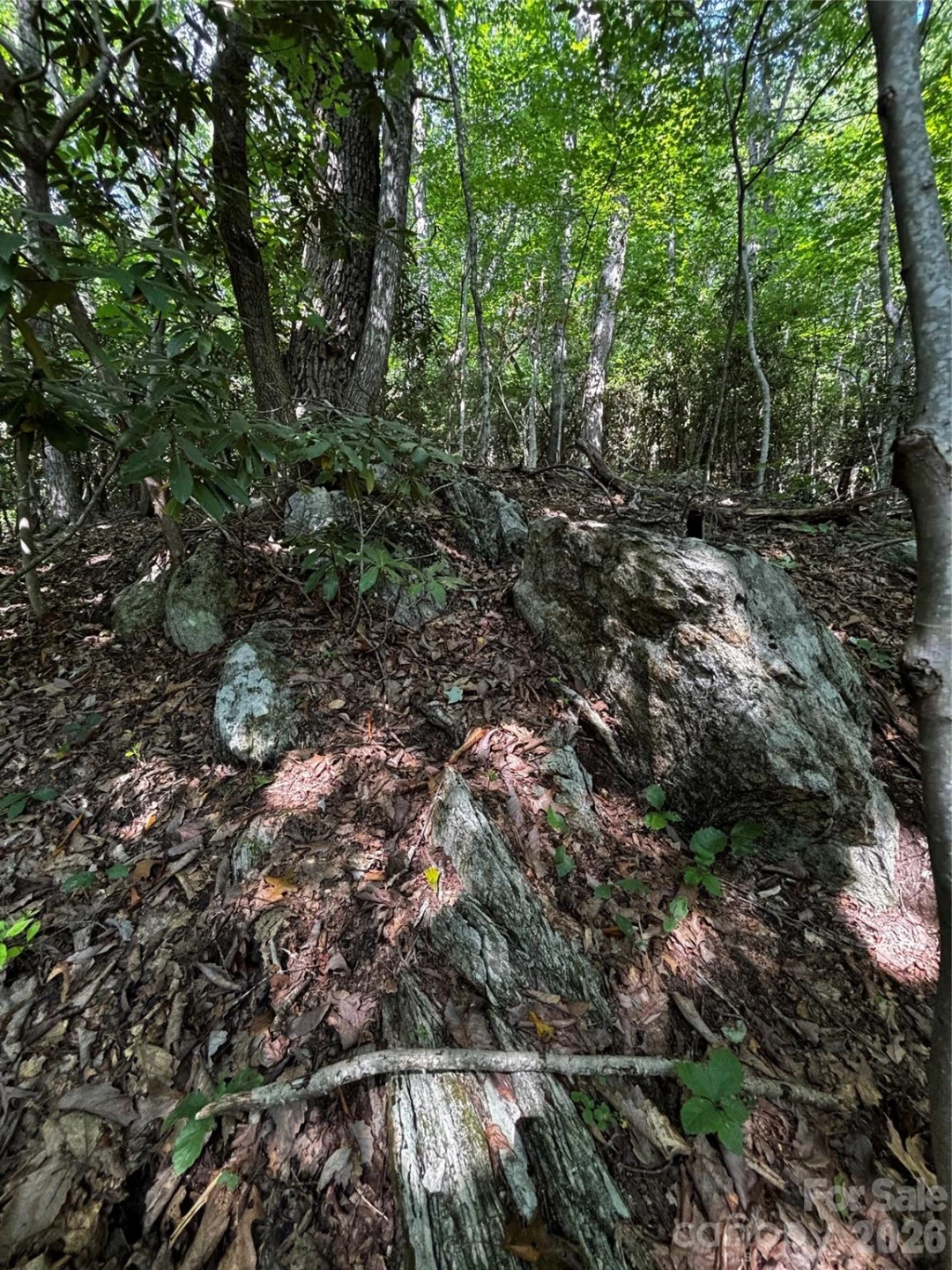00 Burnette Reeves Road - Photo 6