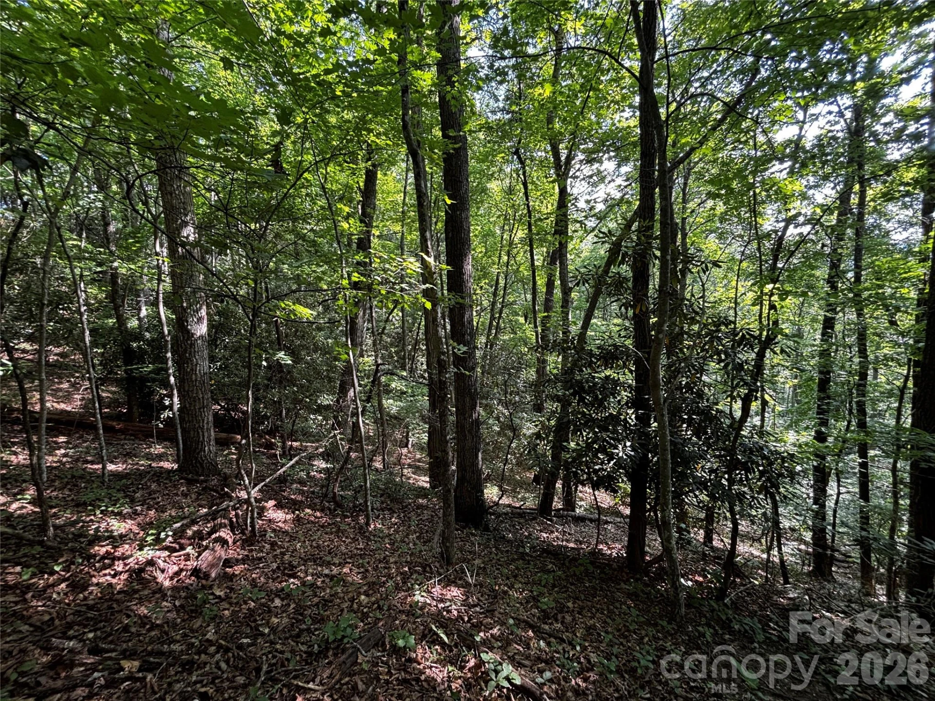 00 Burnette Reeves Road - Photo 7