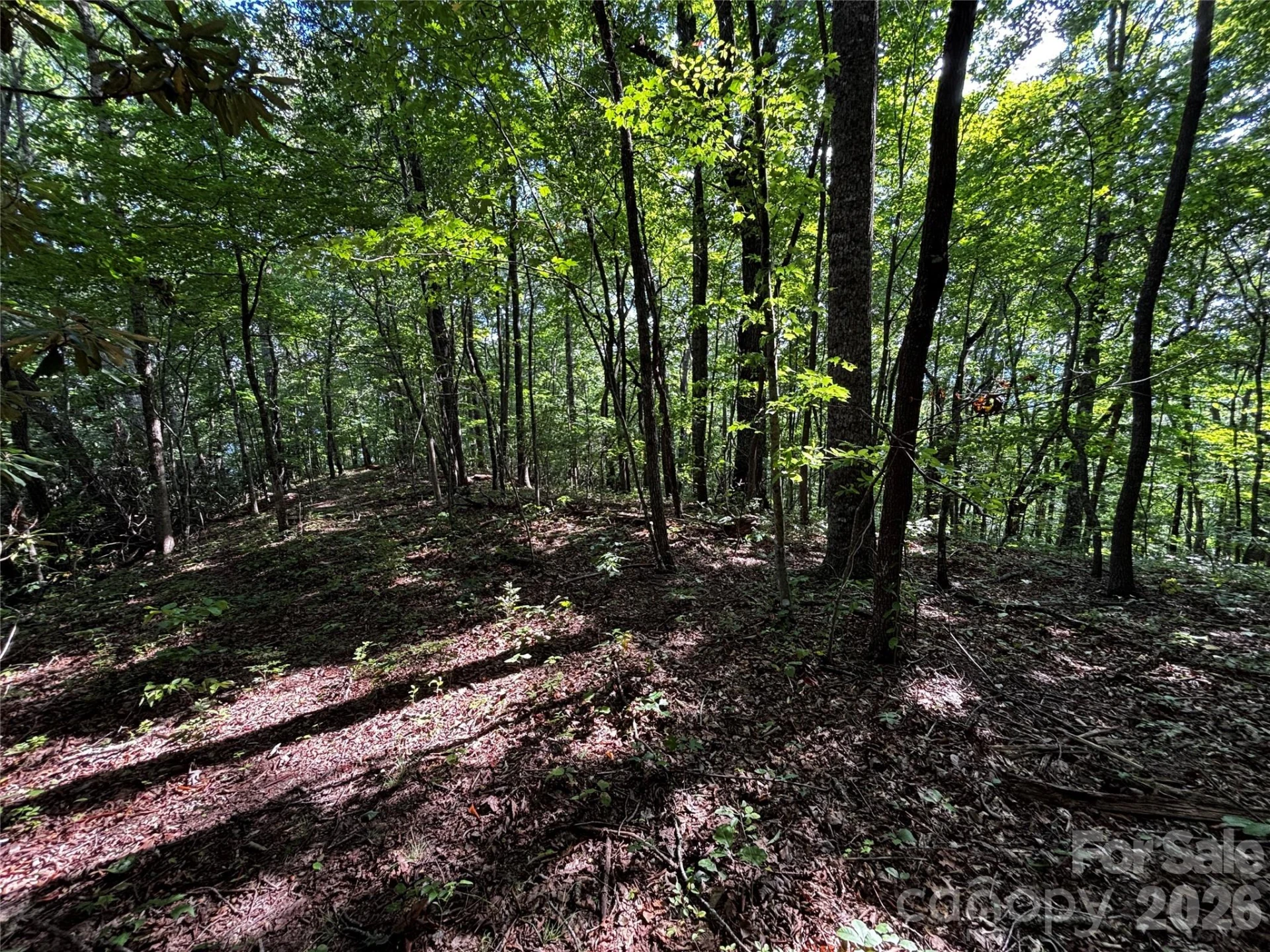 00 Burnette Reeves Road - Photo 8