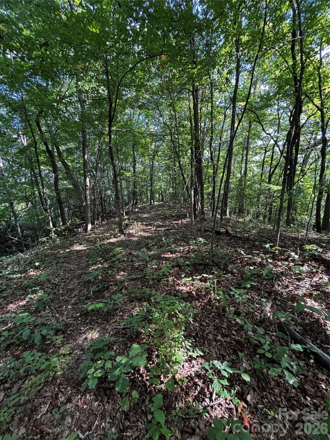 00 Burnette Reeves Road - Photo 9