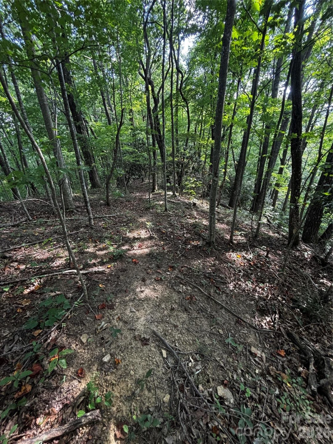 00 Burnette Reeves Road - Photo 11