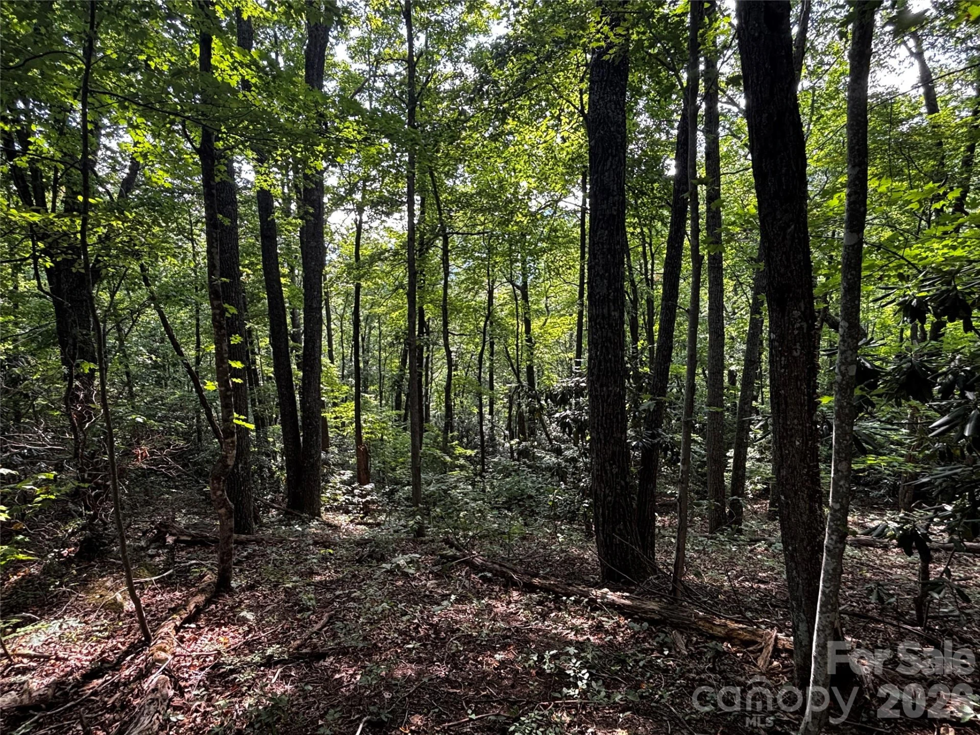 00 Burnette Reeves Road - Photo 12