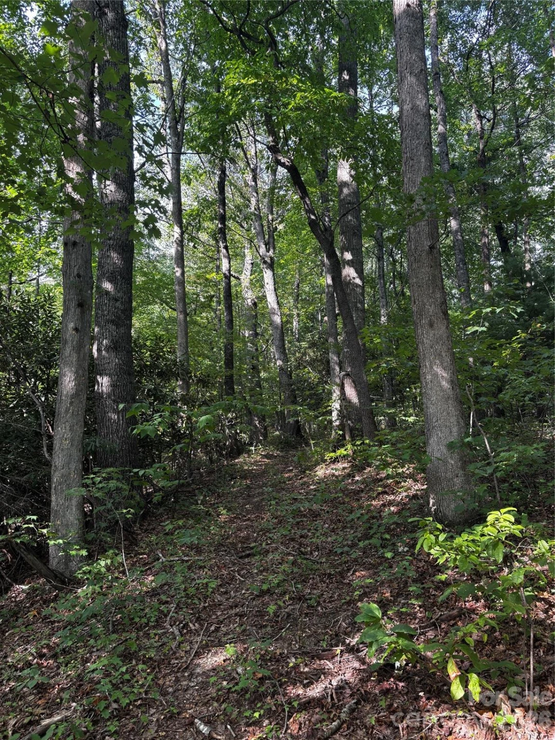 00 Burnette Reeves Road - Photo 13