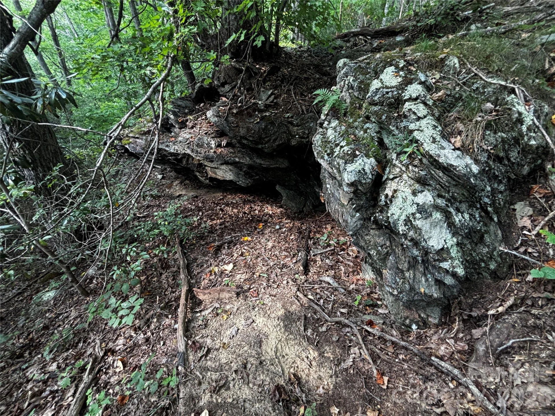 00 Burnette Reeves Road - Photo 14