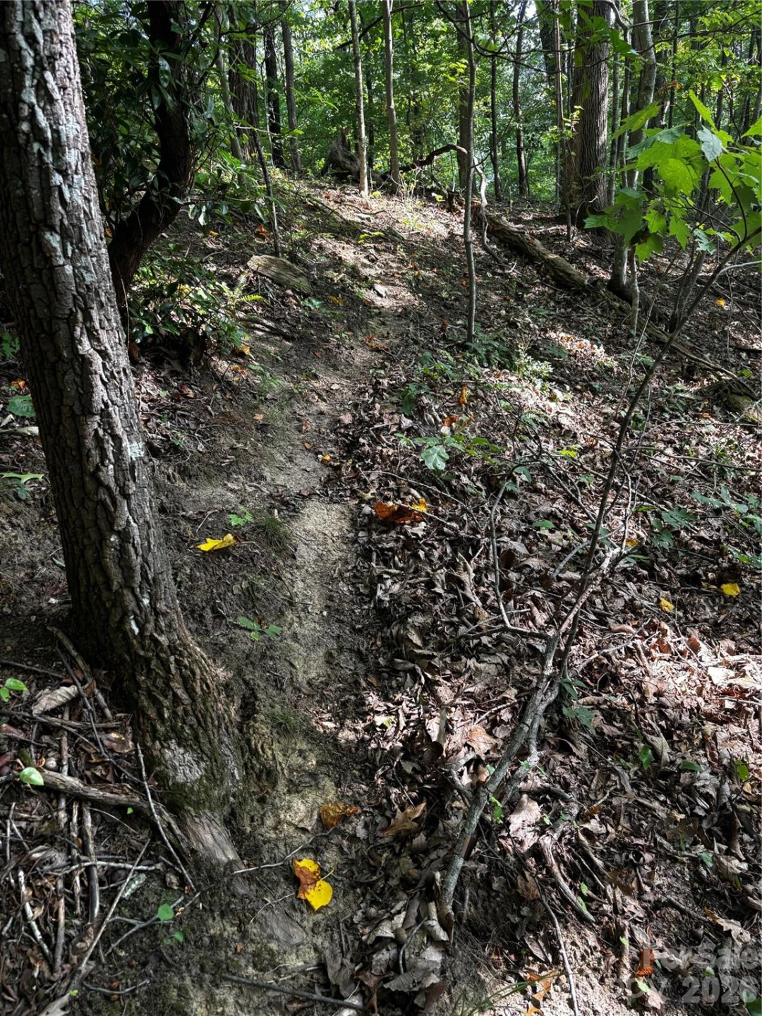 00 Burnette Reeves Road - Photo 16