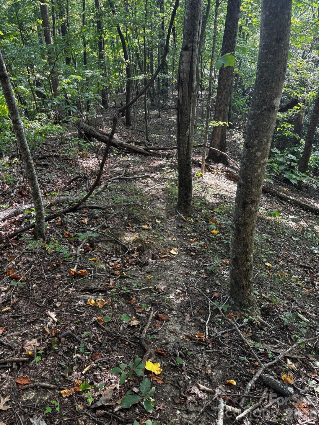 00 Burnette Reeves Road - Photo 17
