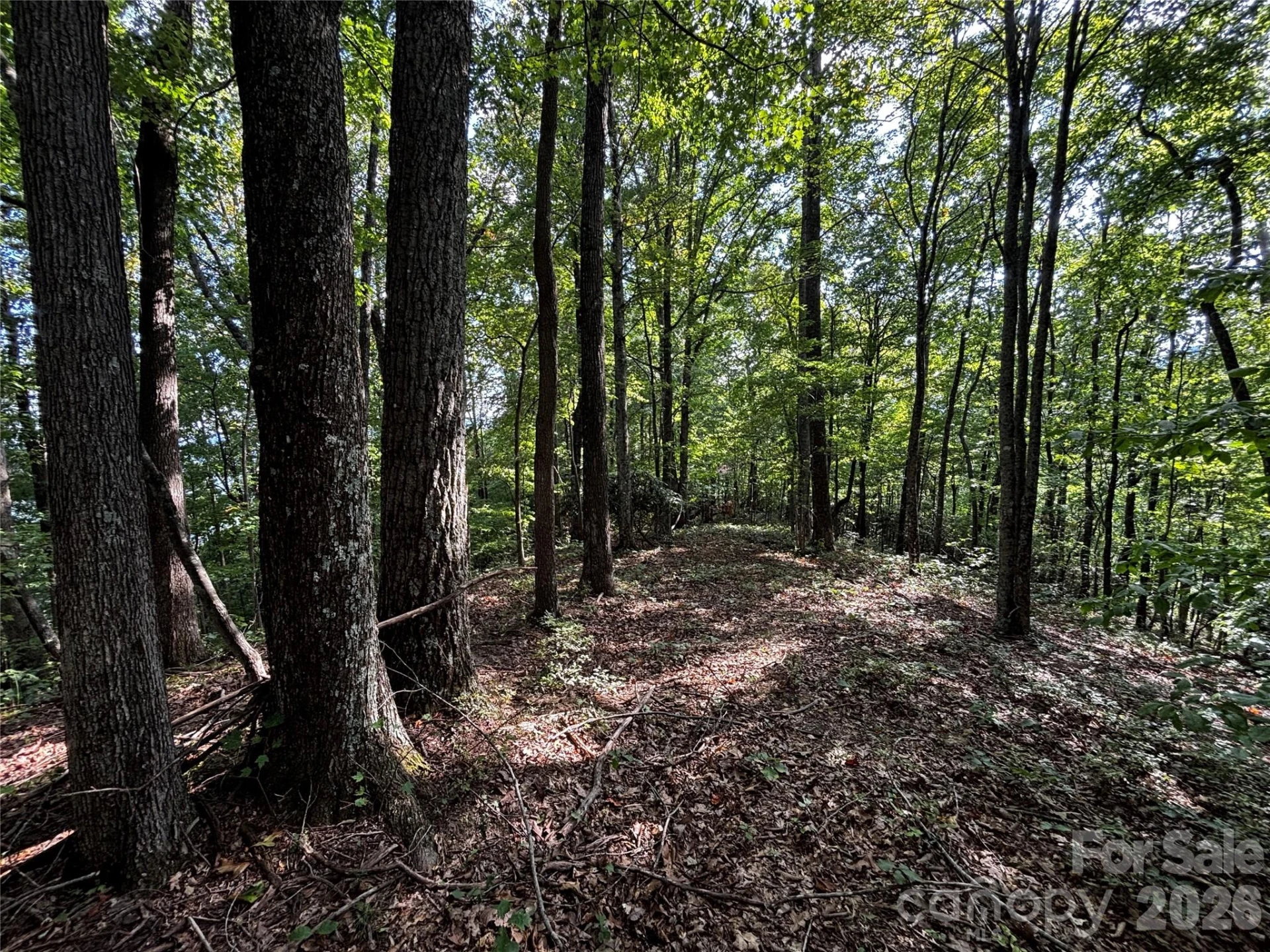 00 Burnette Reeves Road - Photo 18