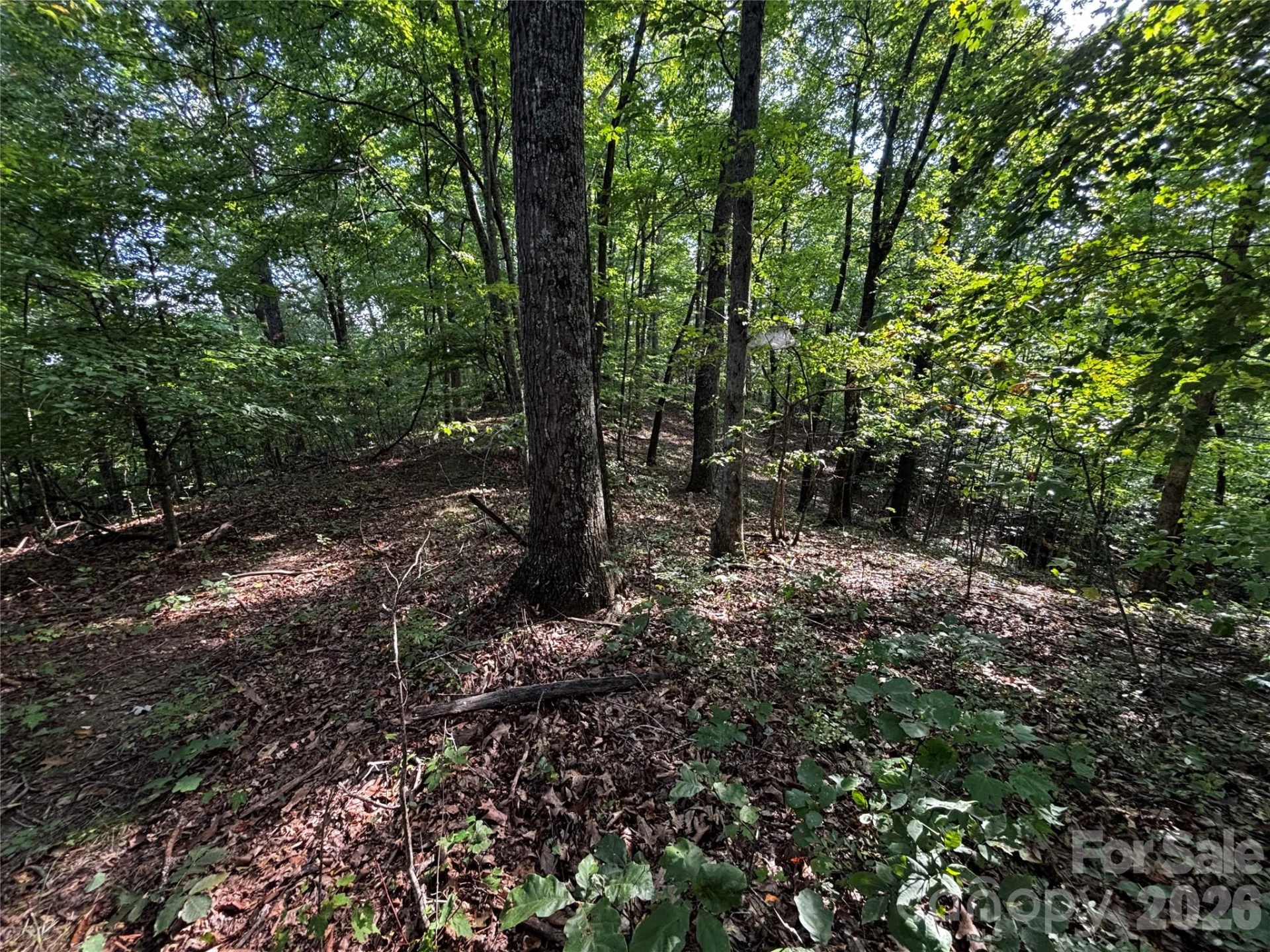 00 Burnette Reeves Road - Photo 21