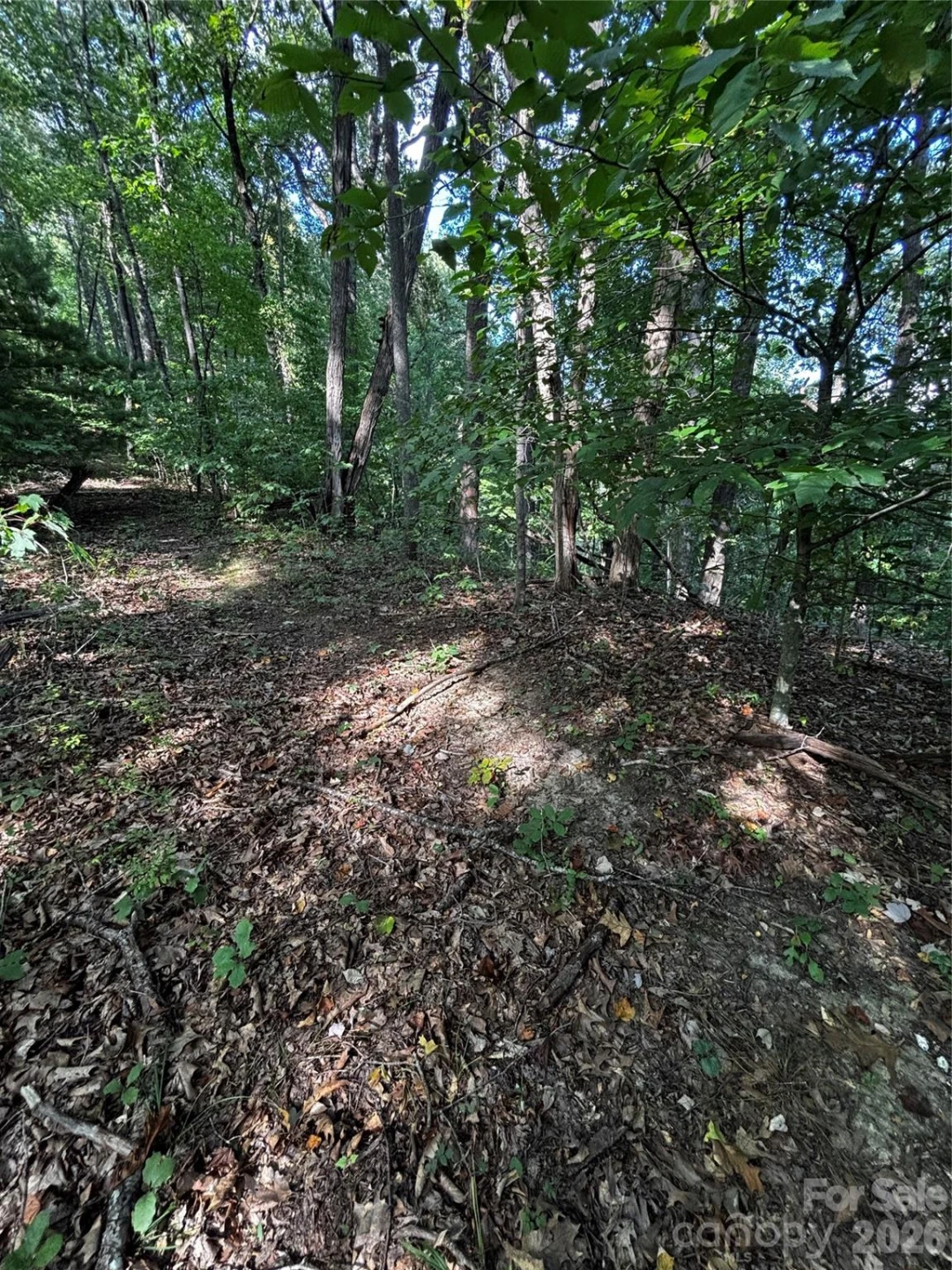 00 Burnette Reeves Road - Photo 22