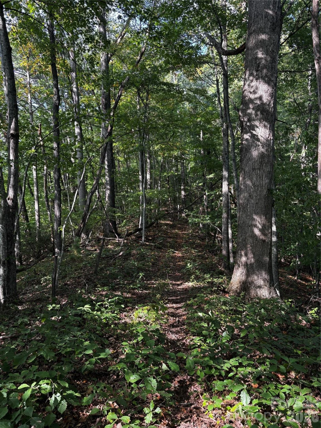 00 Burnette Reeves Road - Photo 25