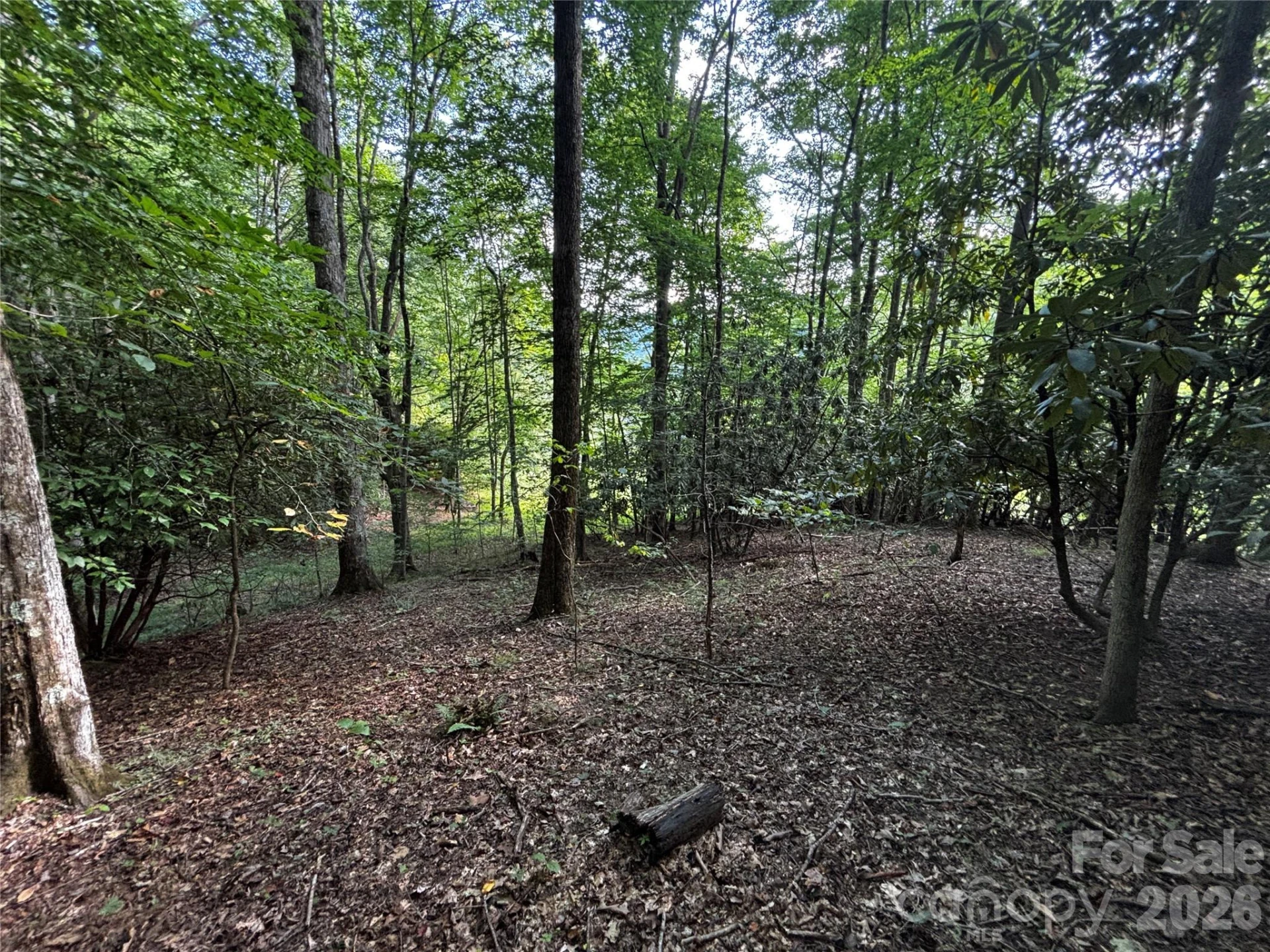 00 Burnette Reeves Road - Photo 26