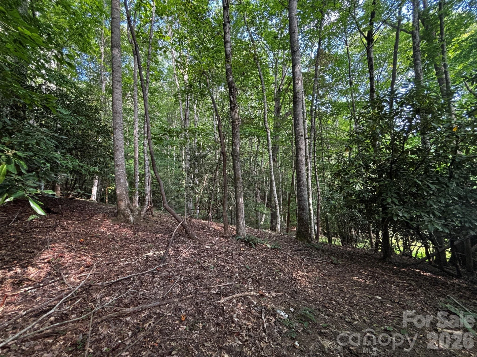 00 Burnette Reeves Road - Photo 27