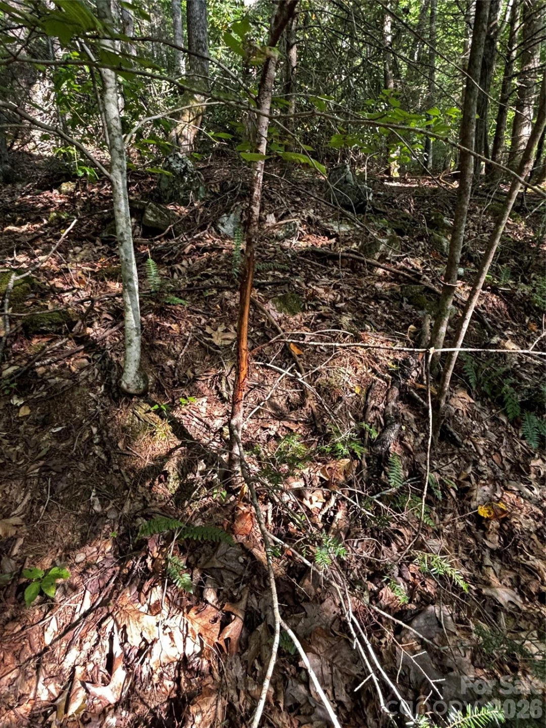 00 Burnette Reeves Road - Photo 28