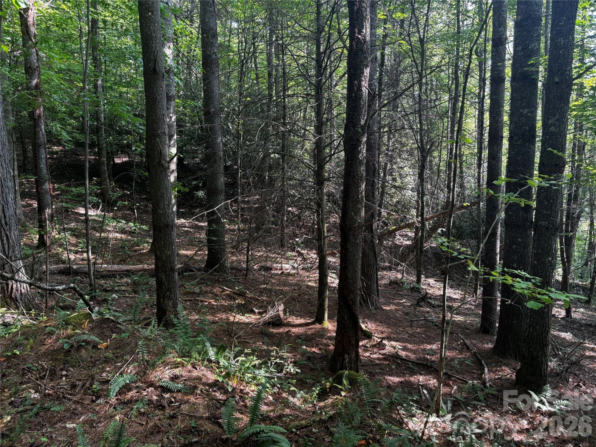 00 Burnette Reeves Road - Photo 29