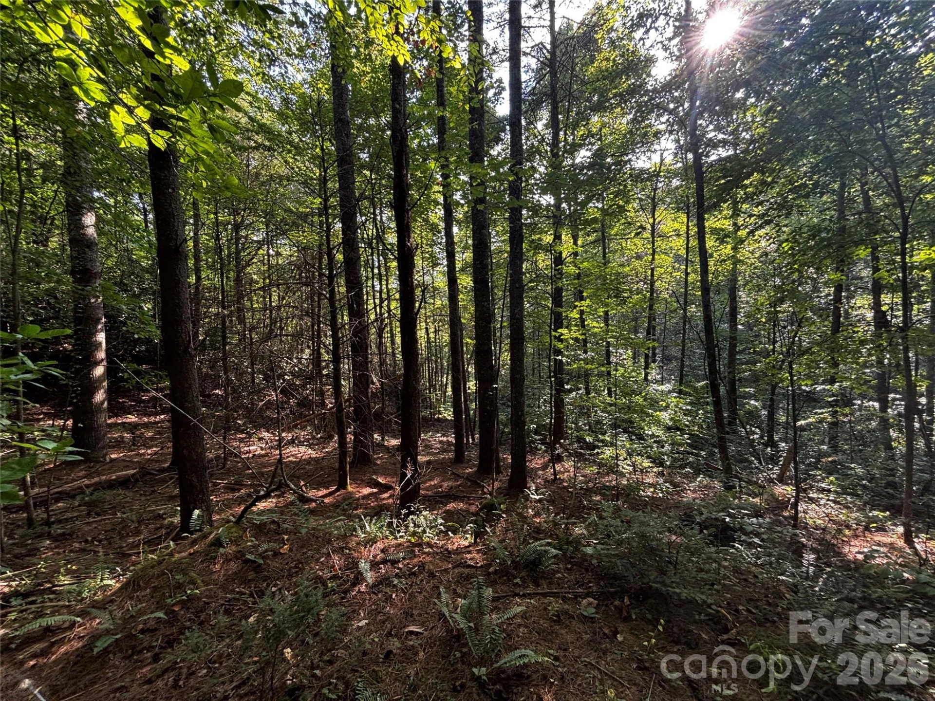 00 Burnette Reeves Road - Photo 30