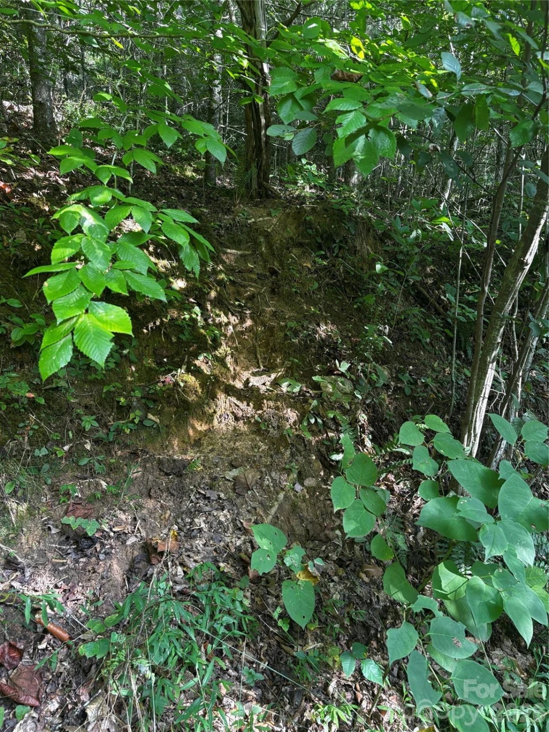 00 Burnette Reeves Road - Photo 31