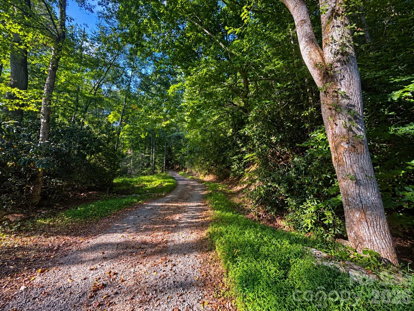 00 Burnette Reeves Road - Photo 32