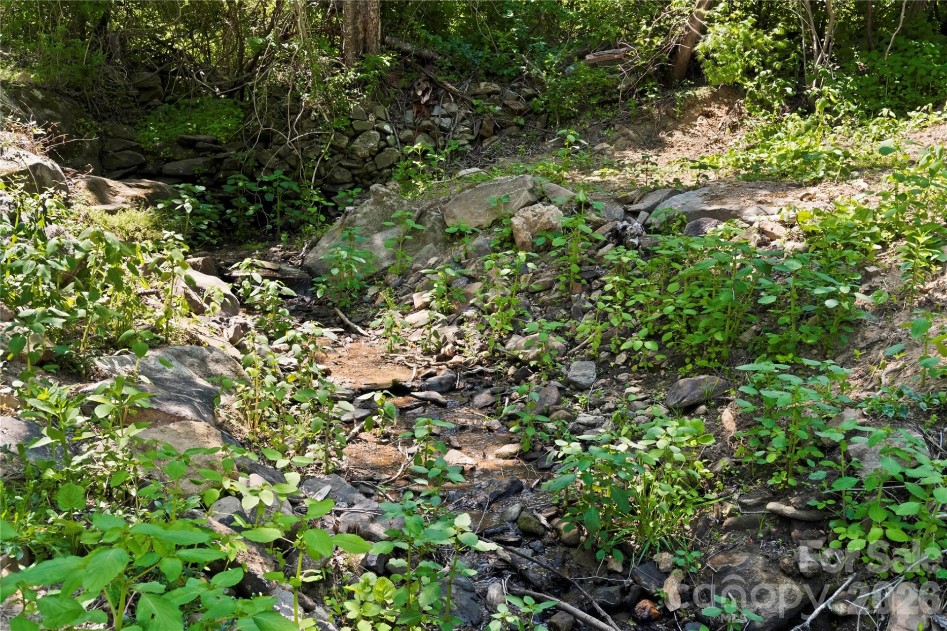 121 Sugar Cove Road - Photo 29