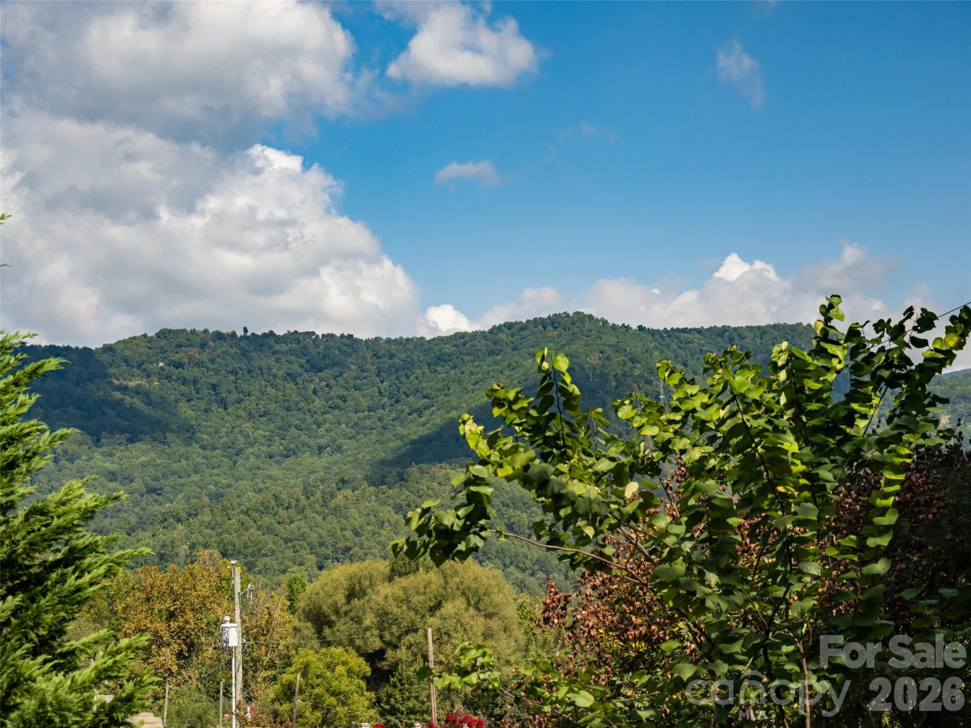 1 Half Moon Drive - Photo 2