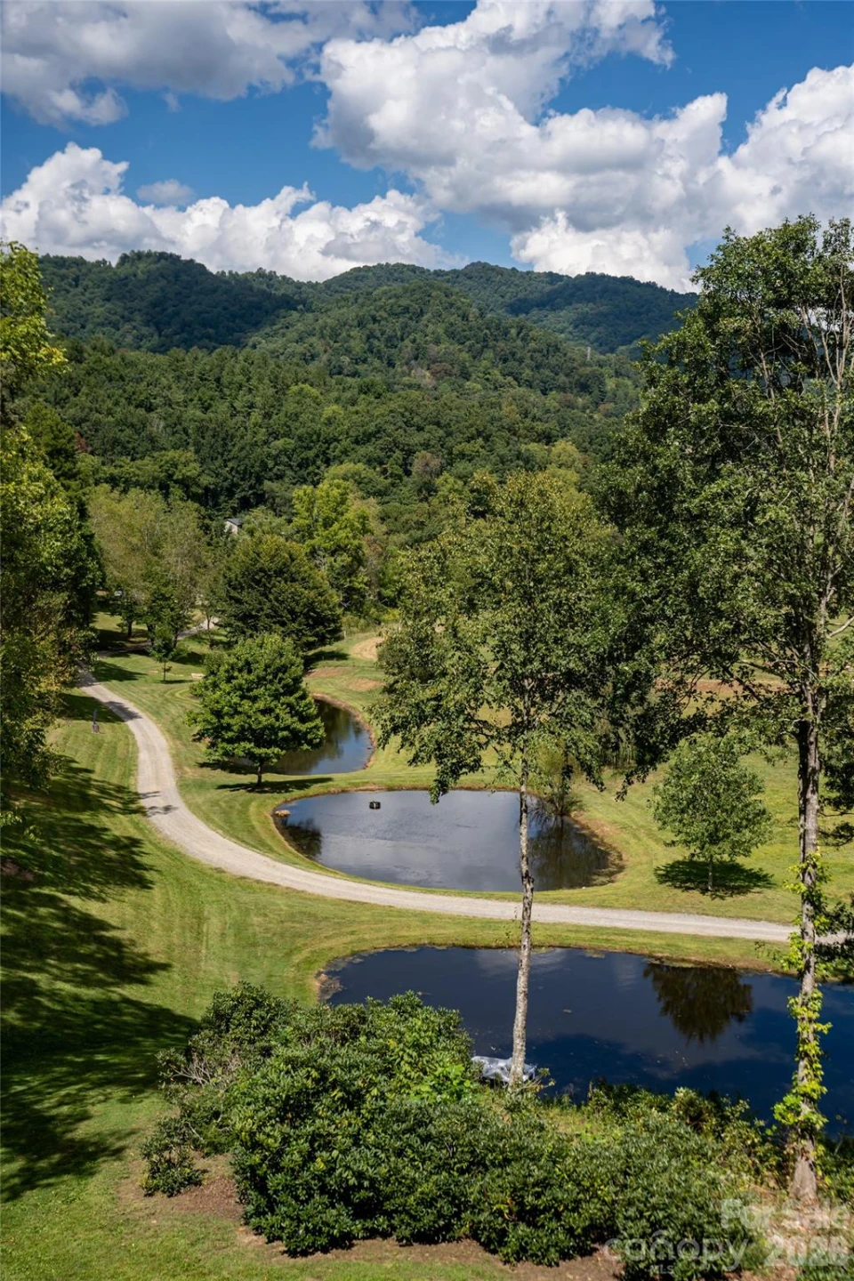 538 Celebration Cove - Photo 2