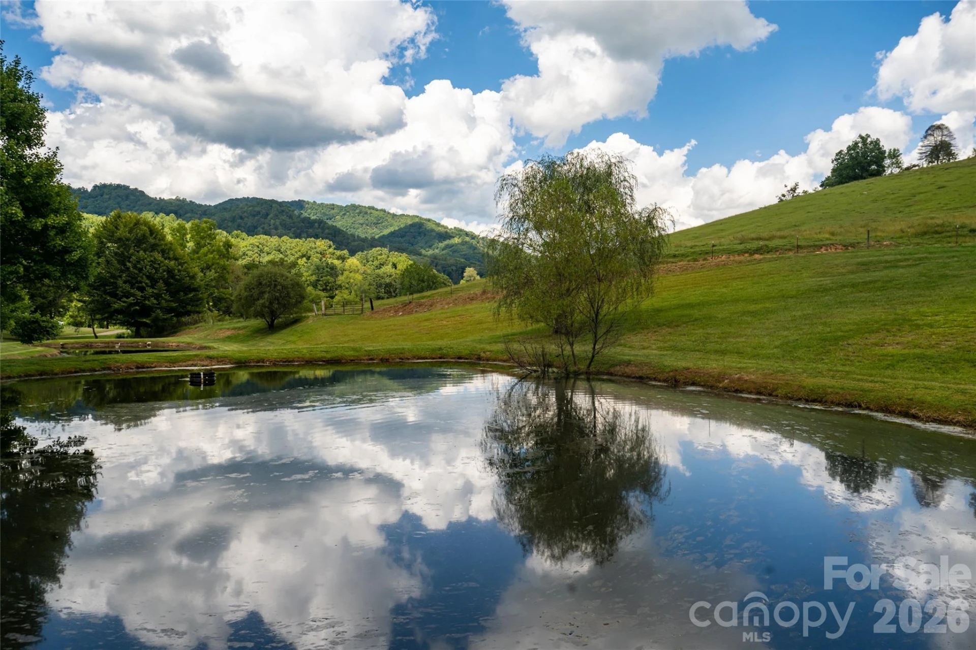 538 Celebration Cove - Photo 7