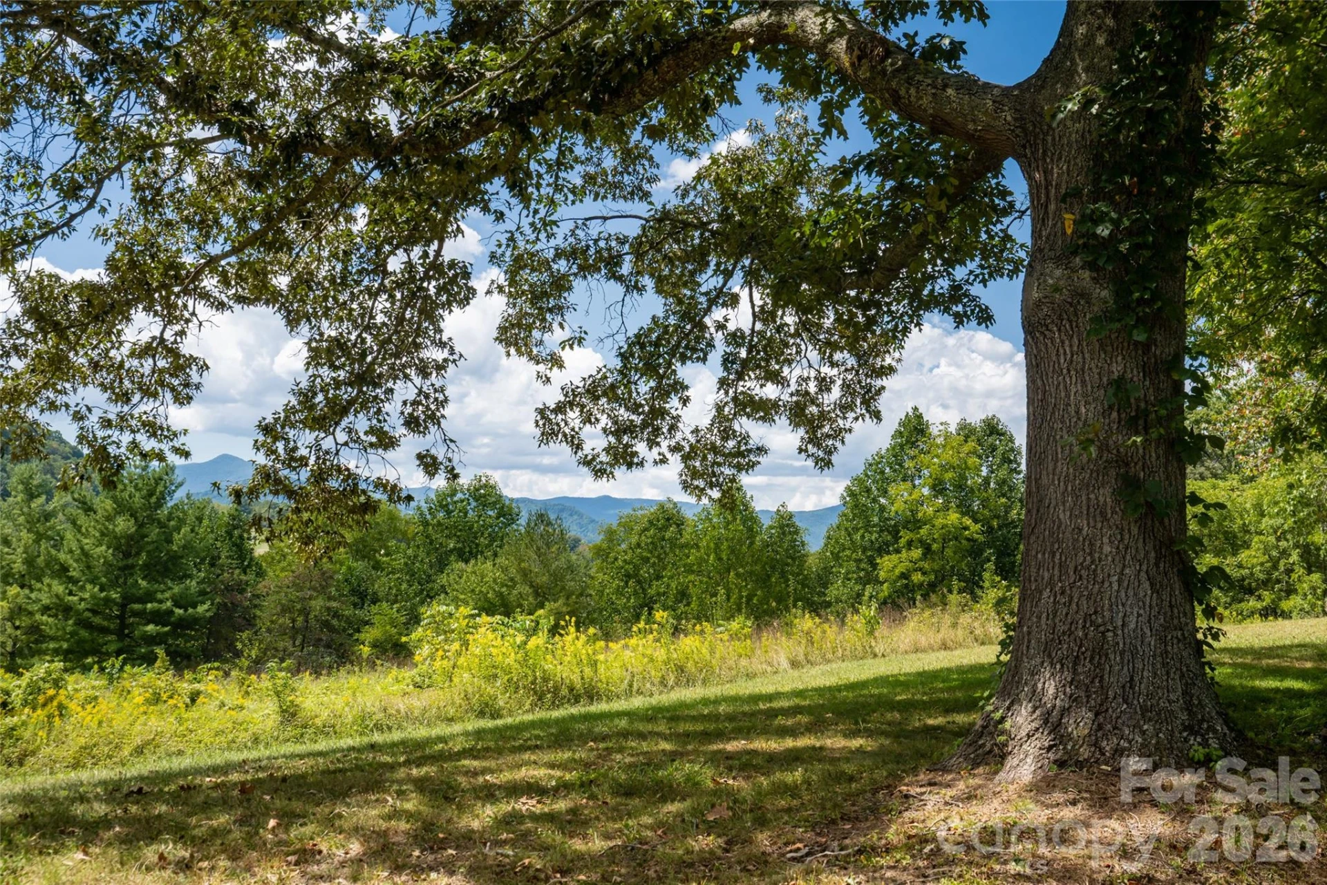 538 Celebration Cove - Photo 25