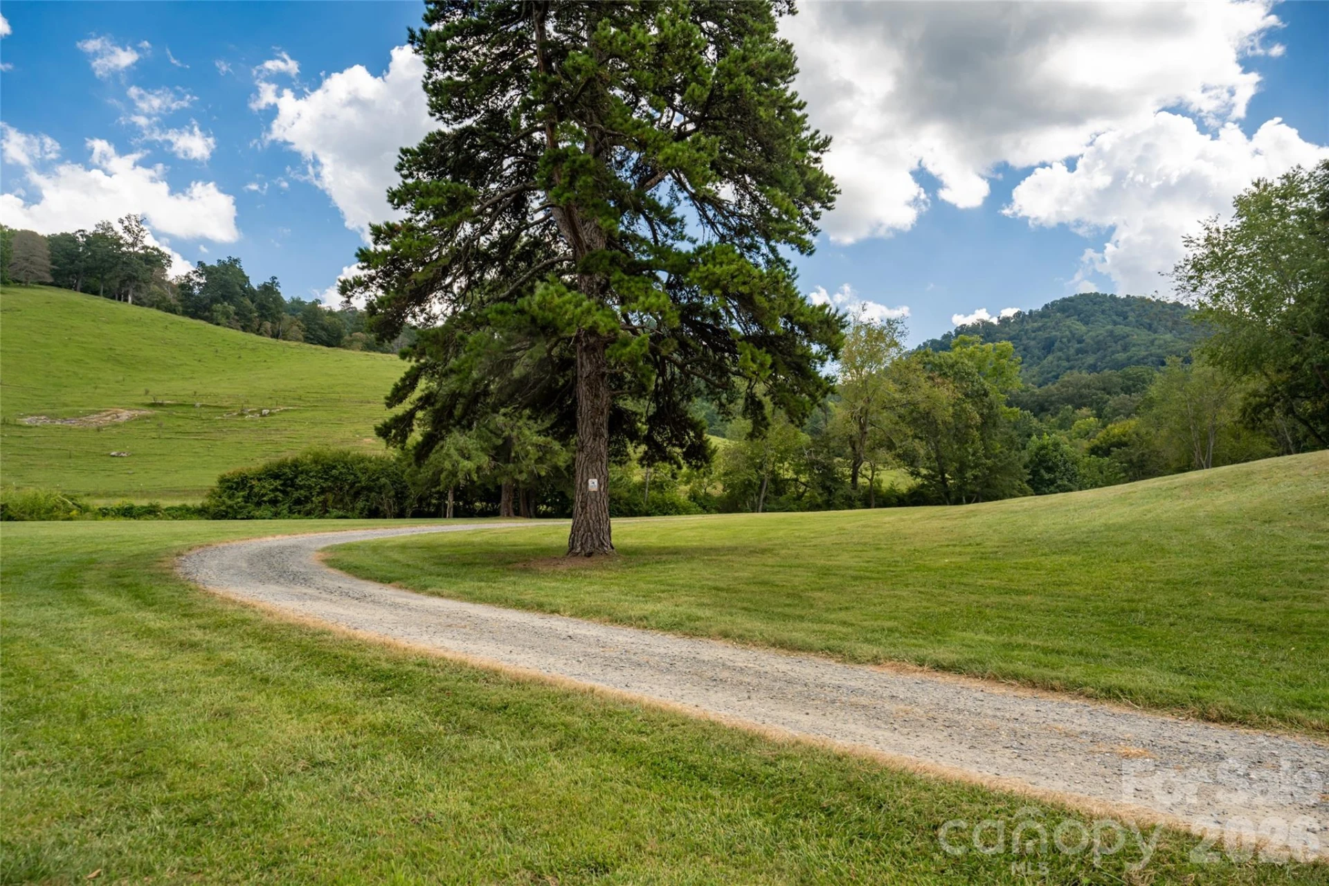 538 Celebration Cove - Photo 45