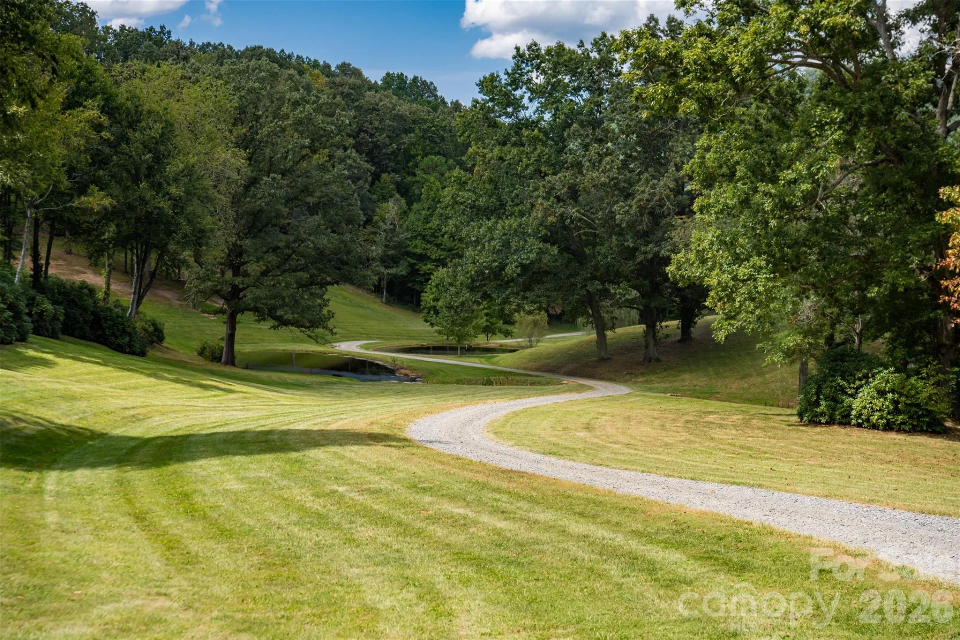 538 Celebration Cove - Photo 46