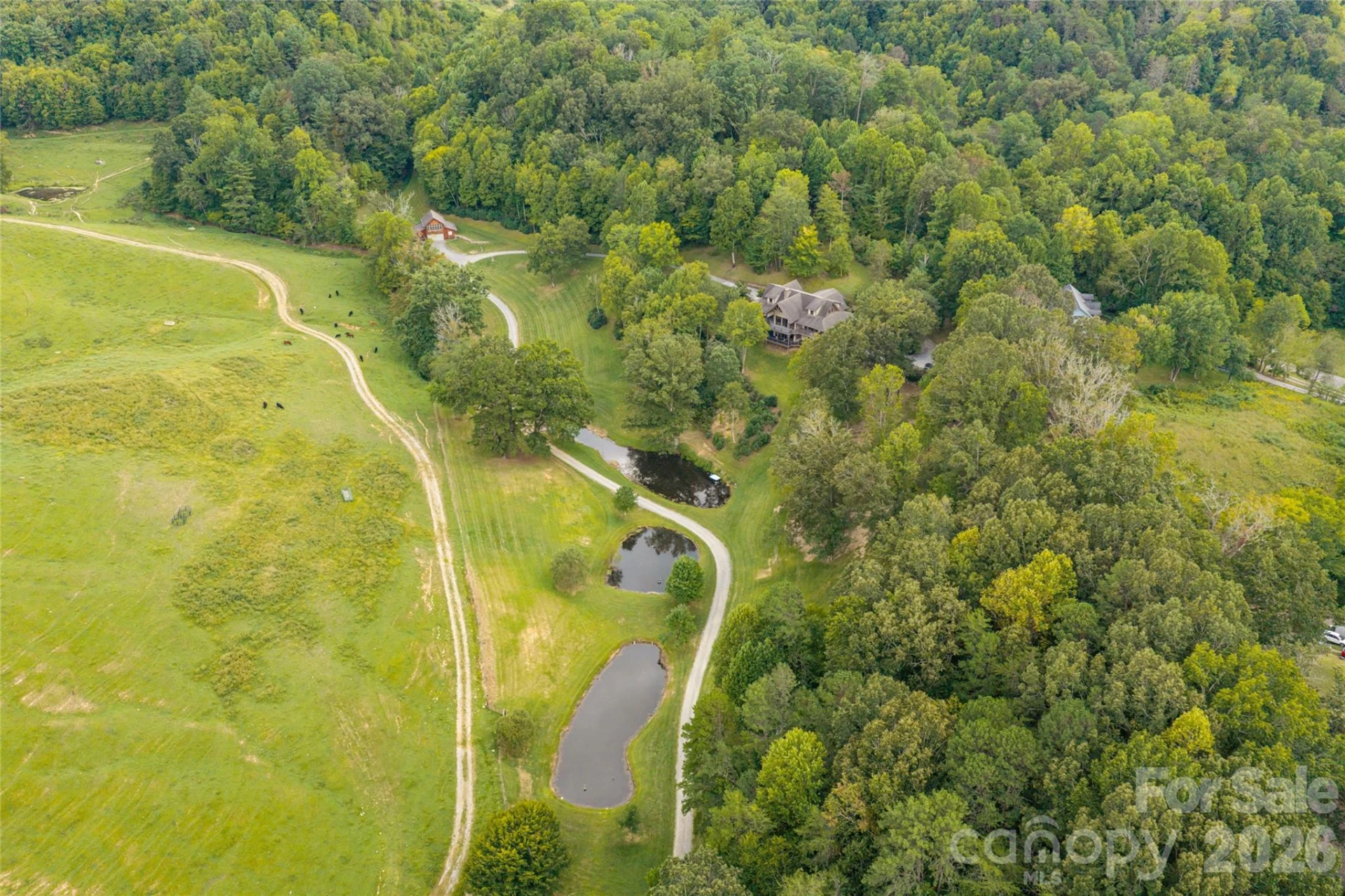 538 Celebration Cove - Photo 47
