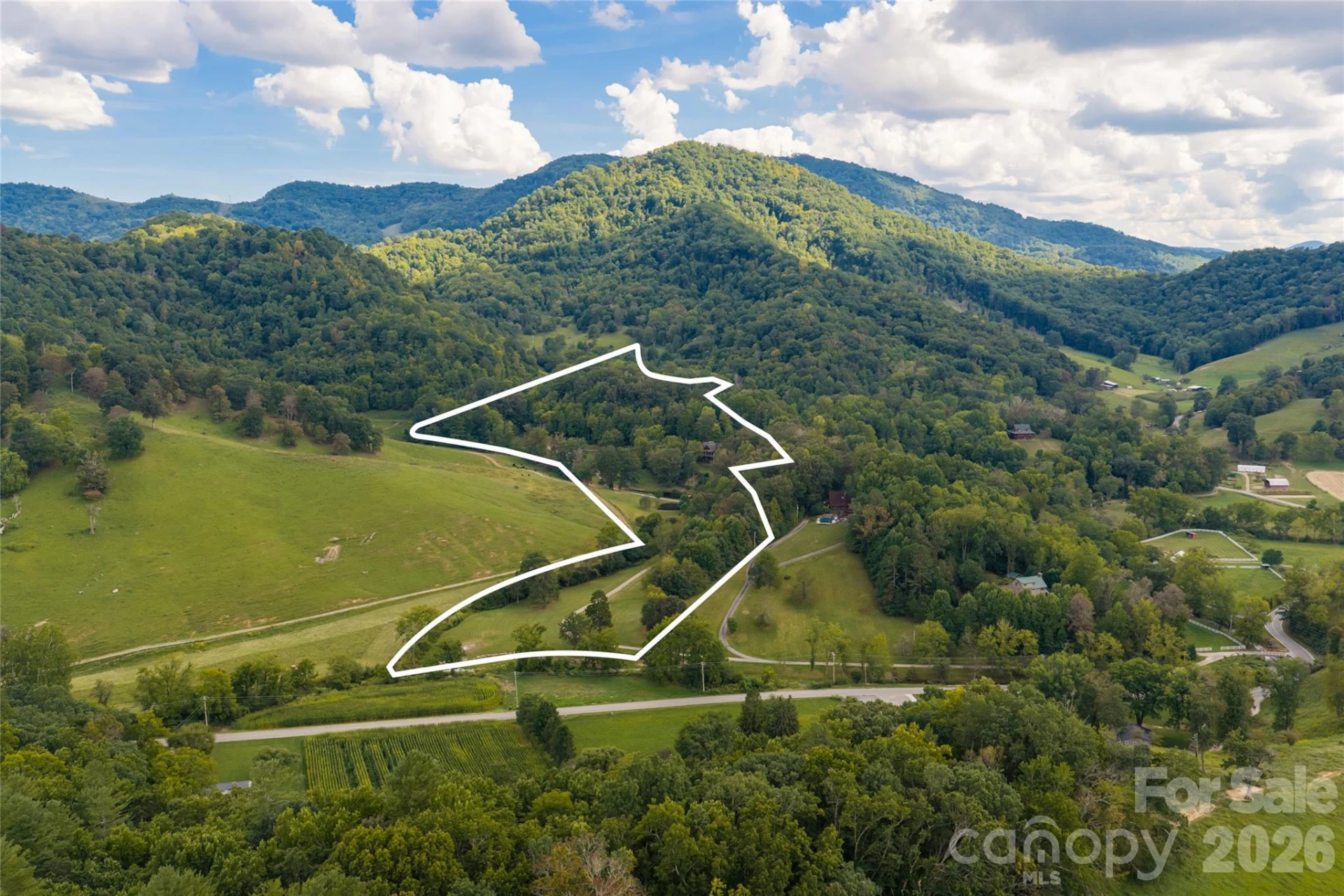 538 Celebration Cove - Photo 48