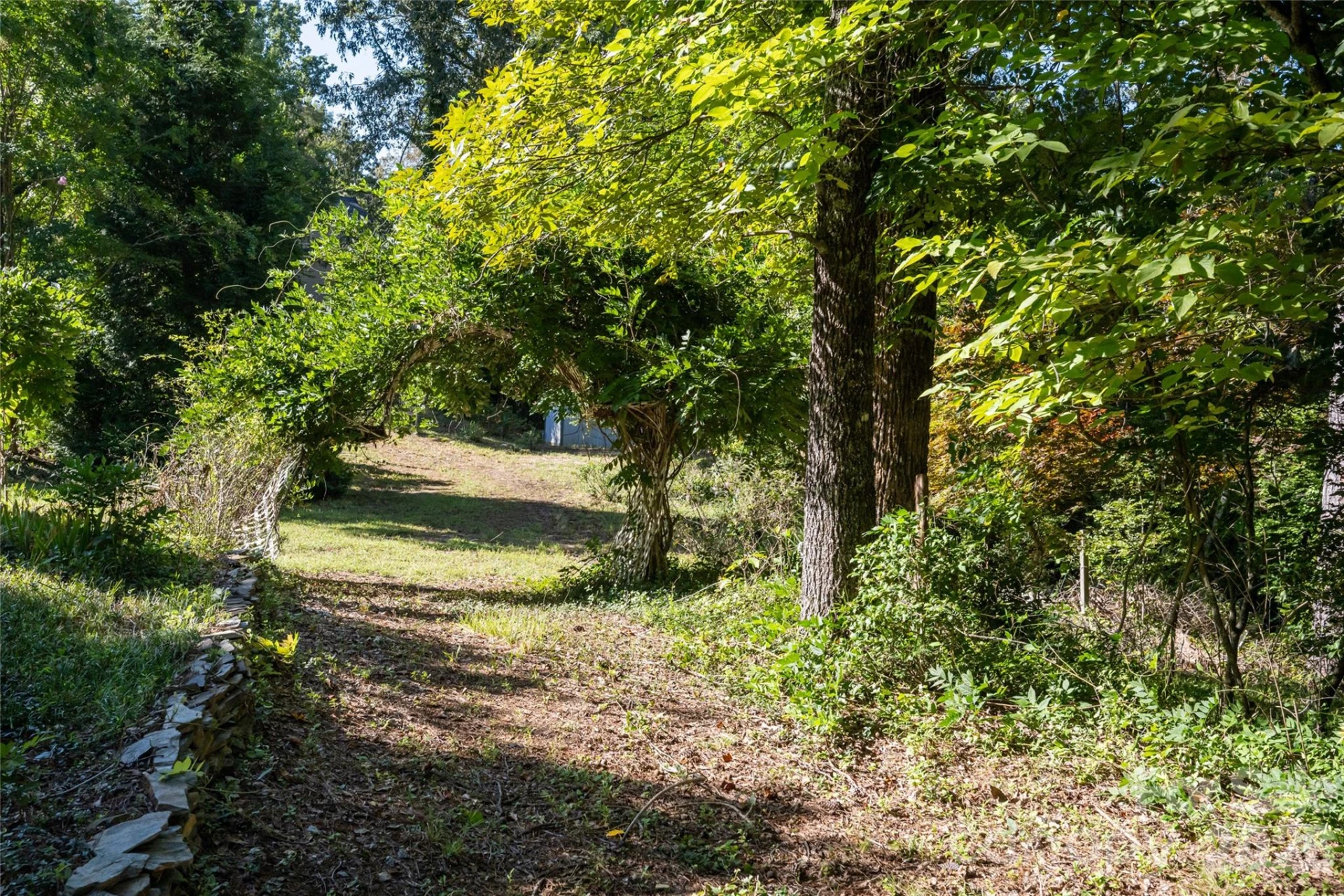 3482 Polk County Line Road - Photo 38