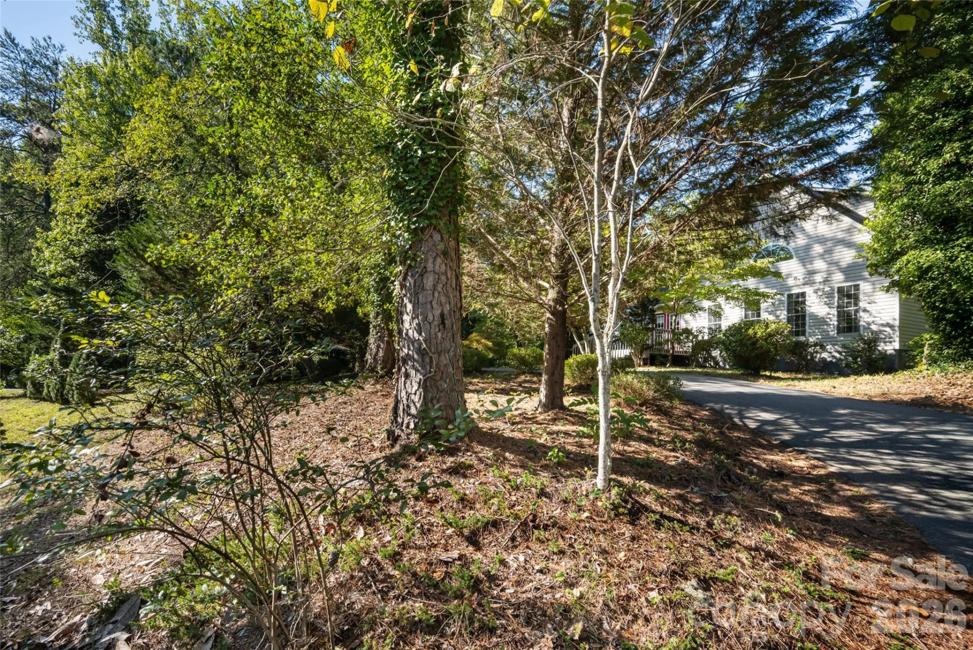 3482 Polk County Line Road - Photo 42