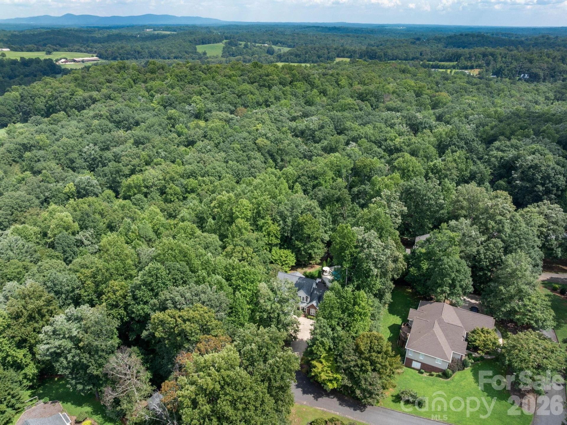 196 E Colonel Hampton Court - Photo 44